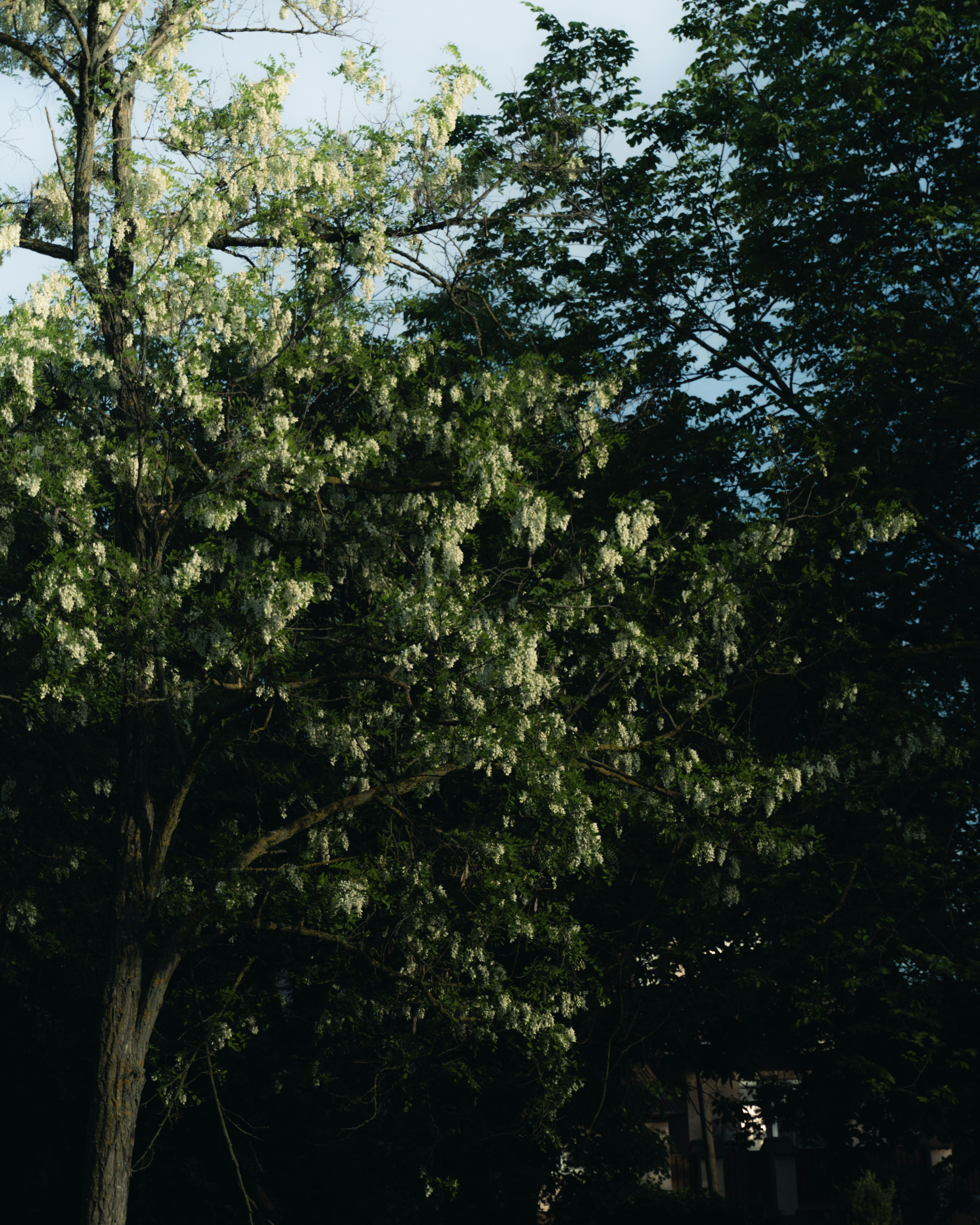 Photo by puskas_dominik