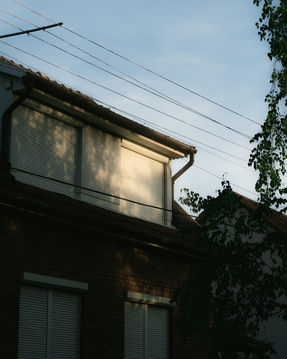 Una vista de un edificio con un árbol frente a él