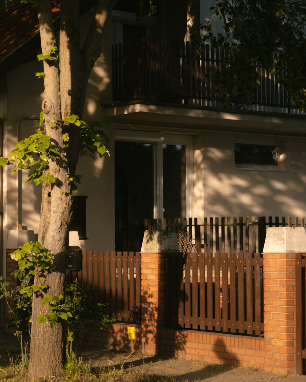 a tree in front of a house with a wooden fence