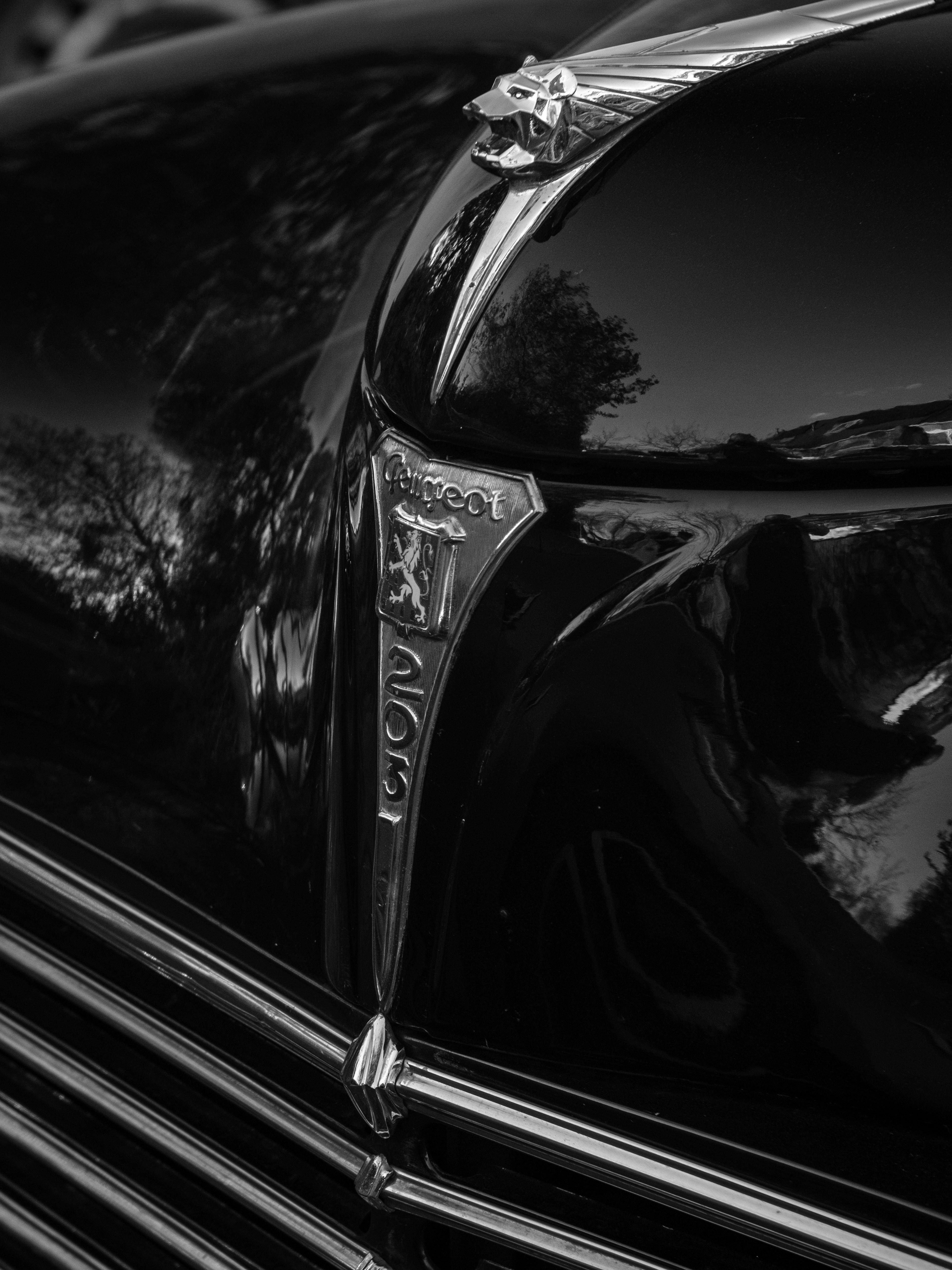 Photo by haberdoedas2