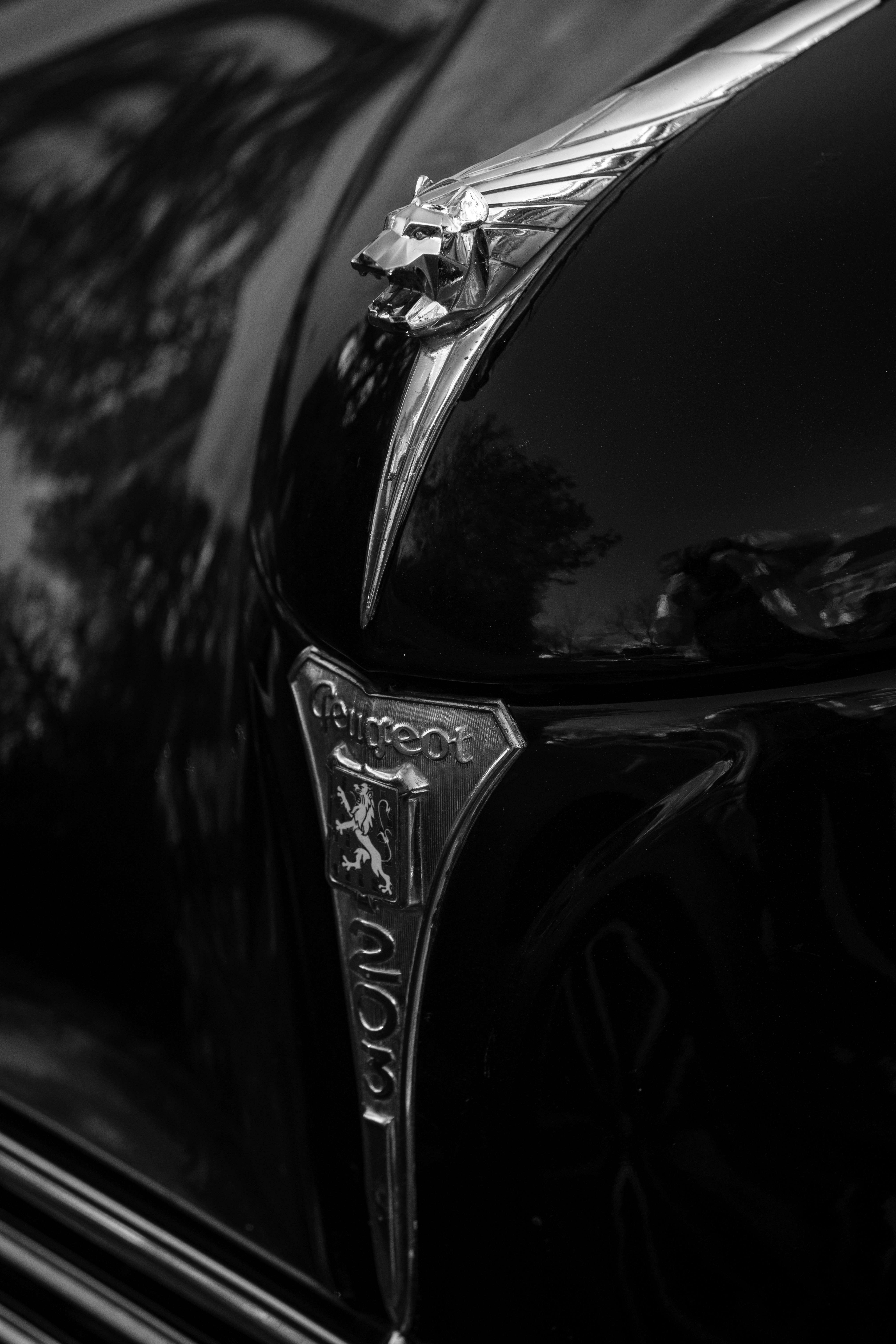 Photo by haberdoedas2