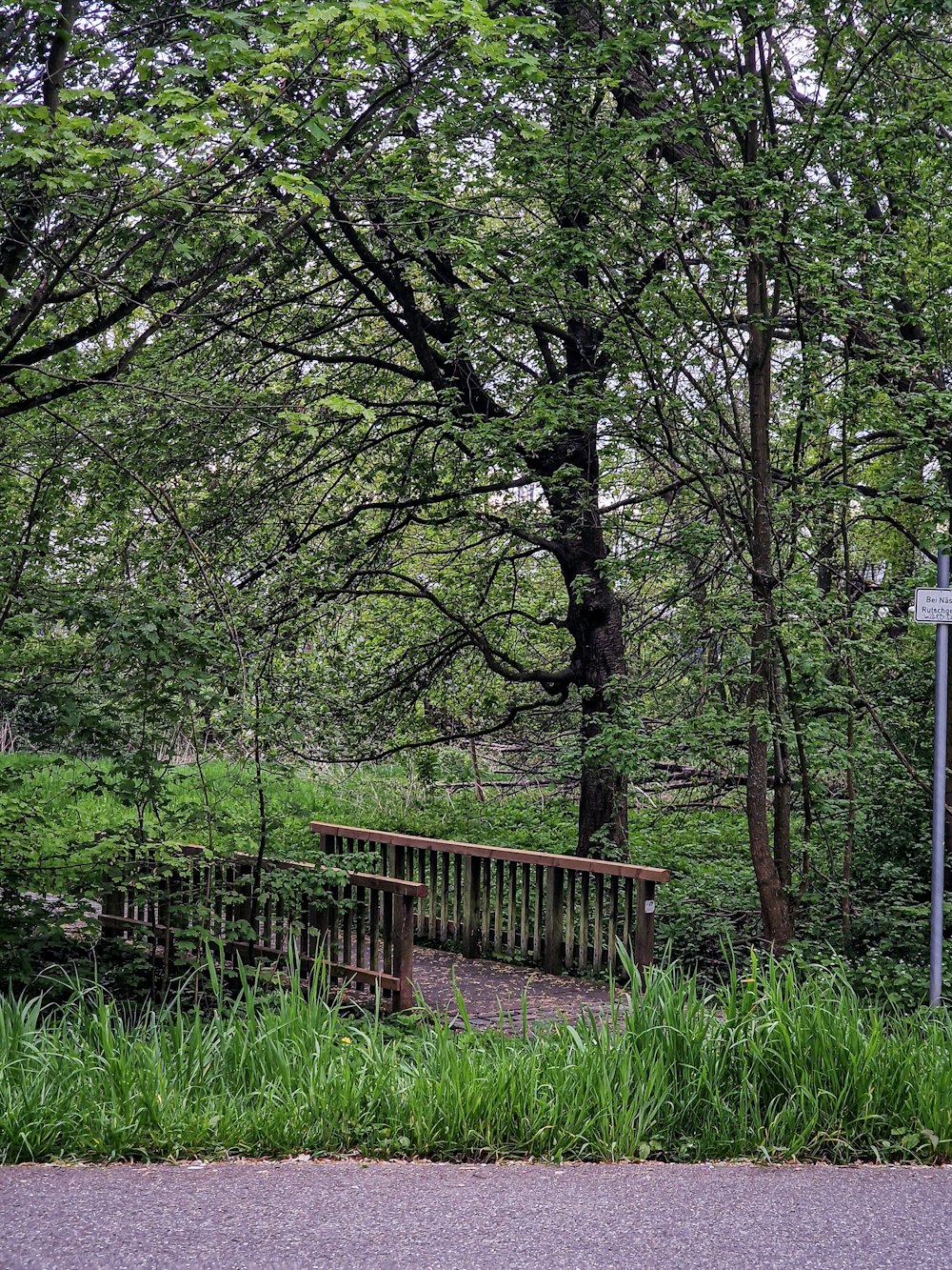 a wooden bench sitting next to a lush green forest