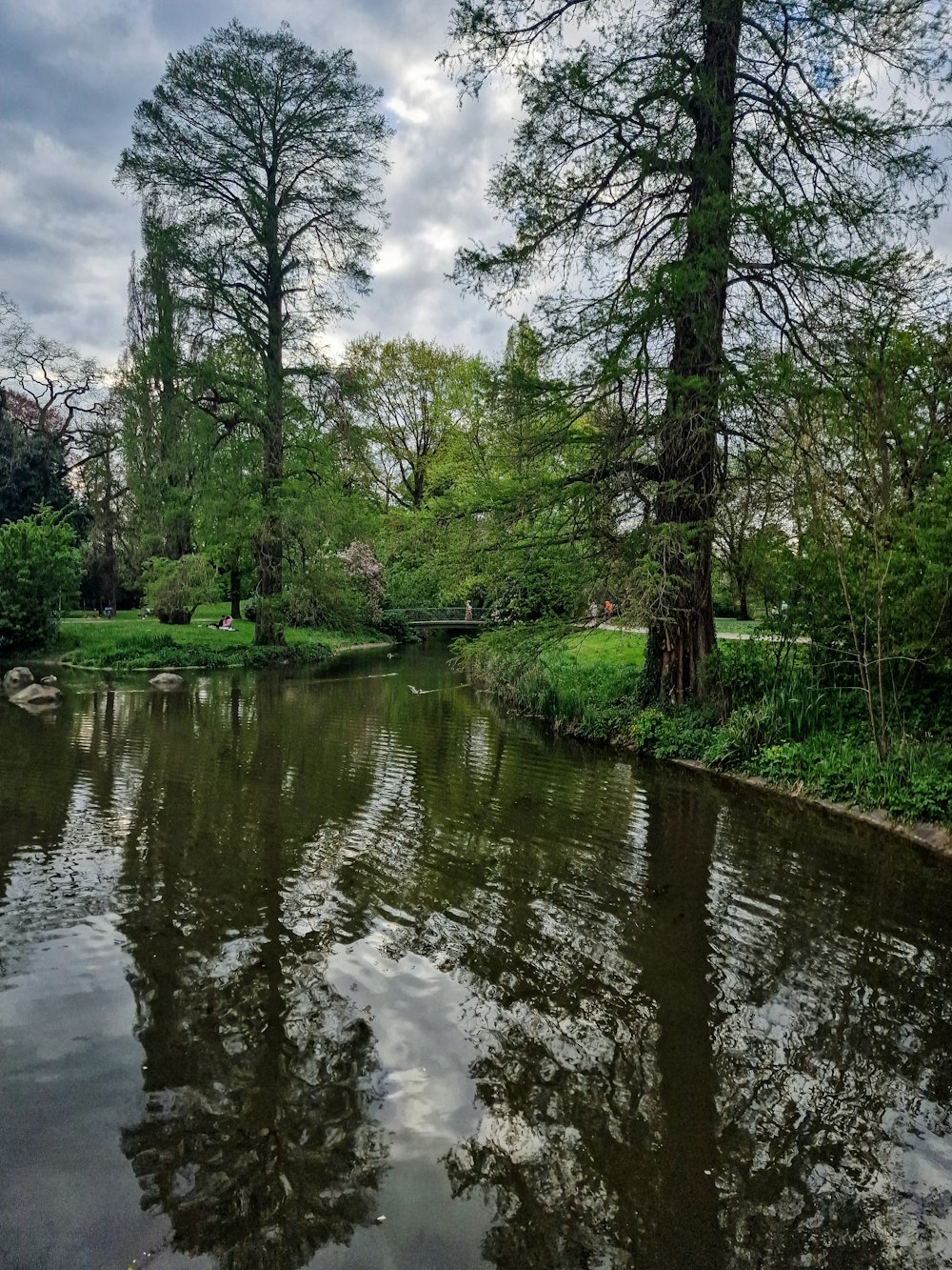 a body of water surrounded by trees and grass