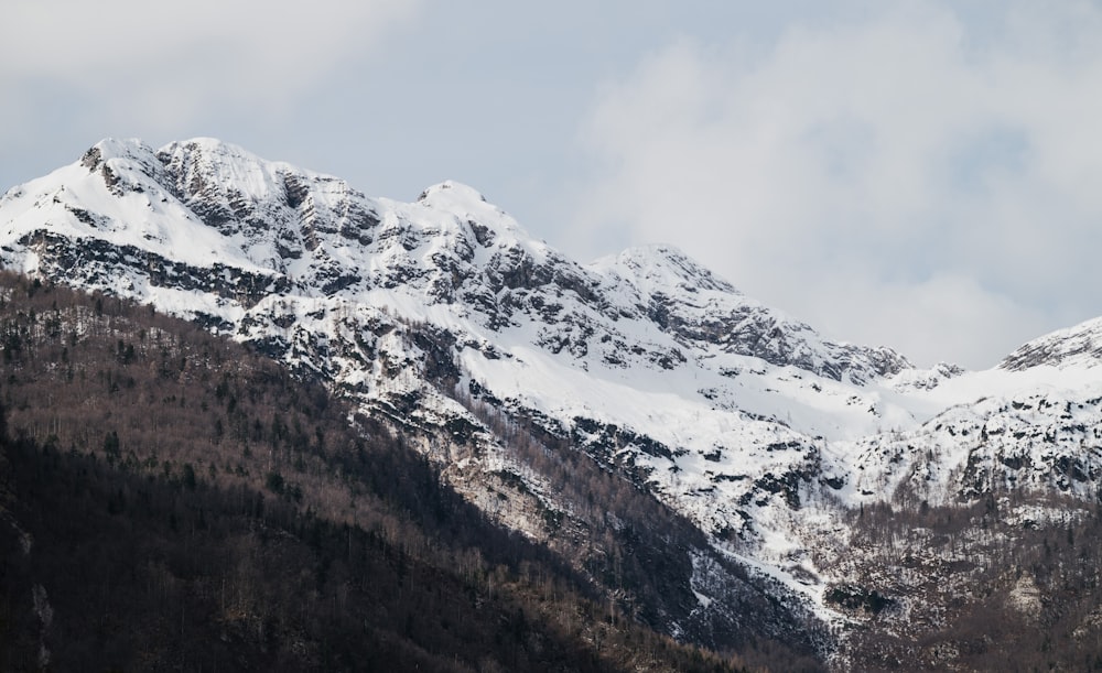 a snowy mountain range with a few trees in the foreground