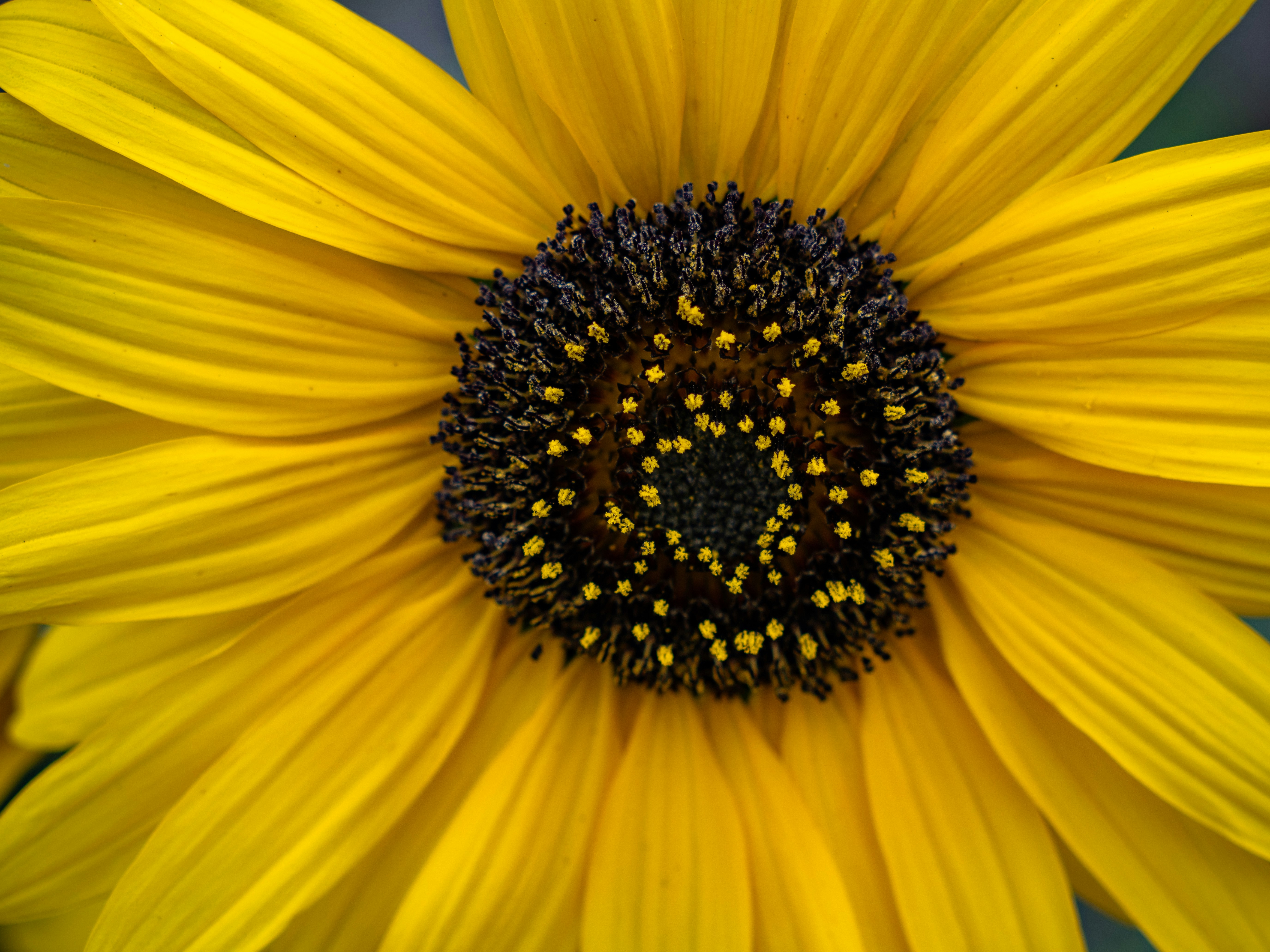 Photo by shibinjoseph