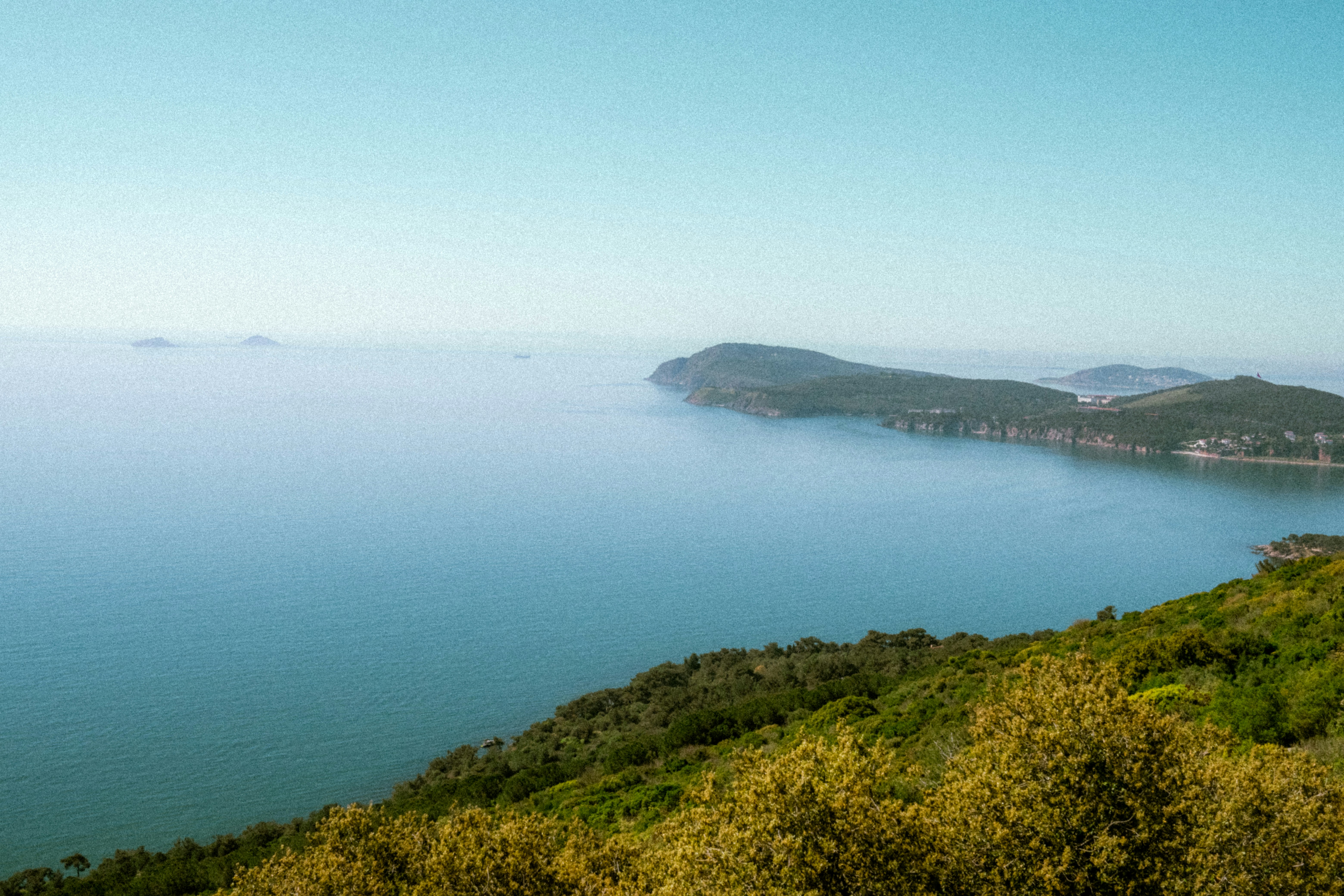 Photo by collinmarkross