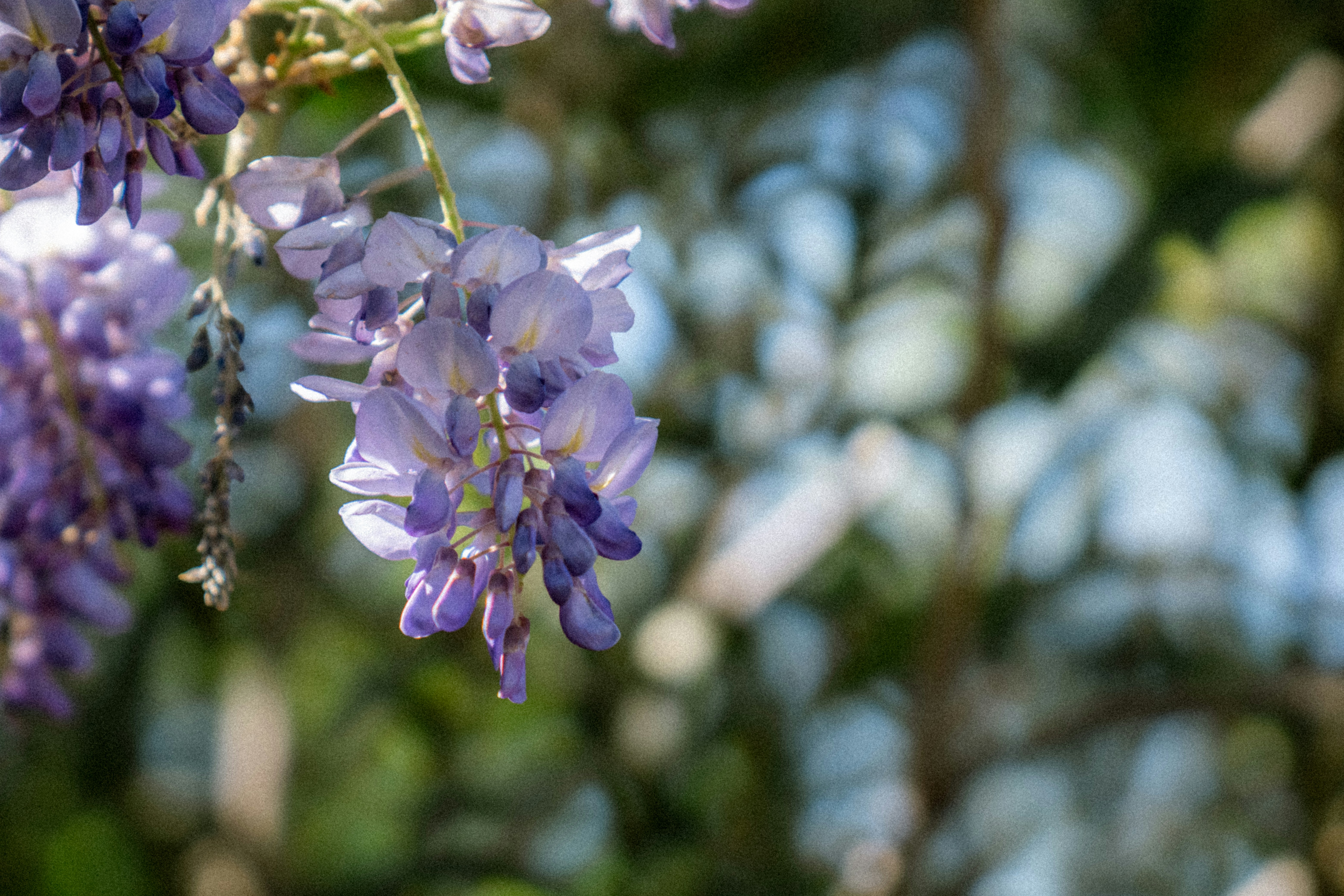 Photo by collinmarkross