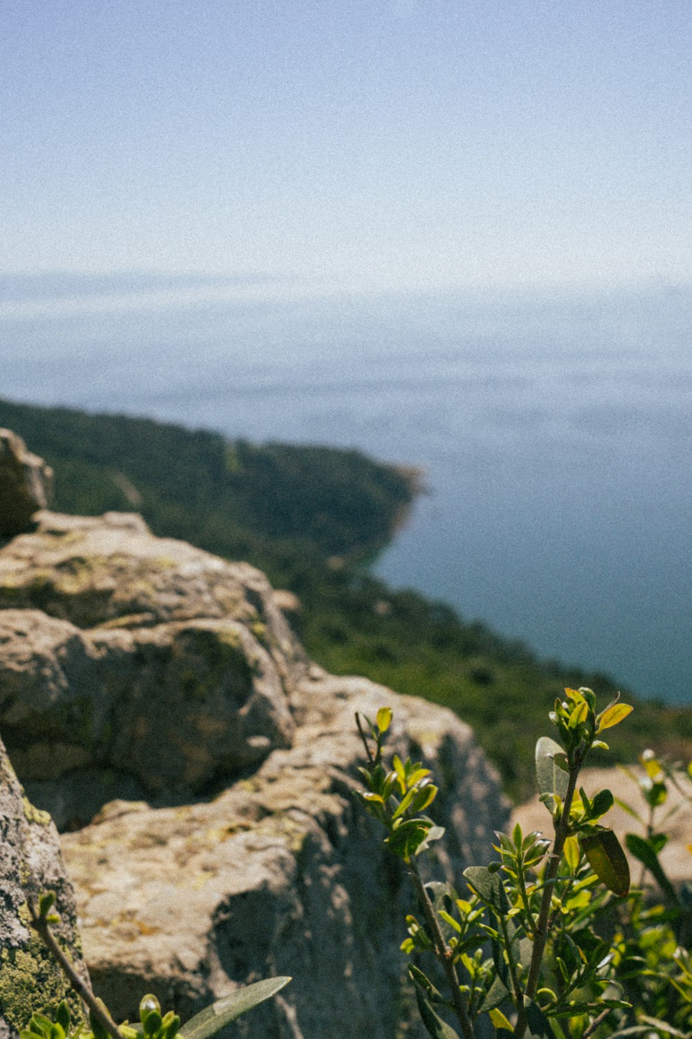 a teddy bear sitting on a rock overlooking a body of water