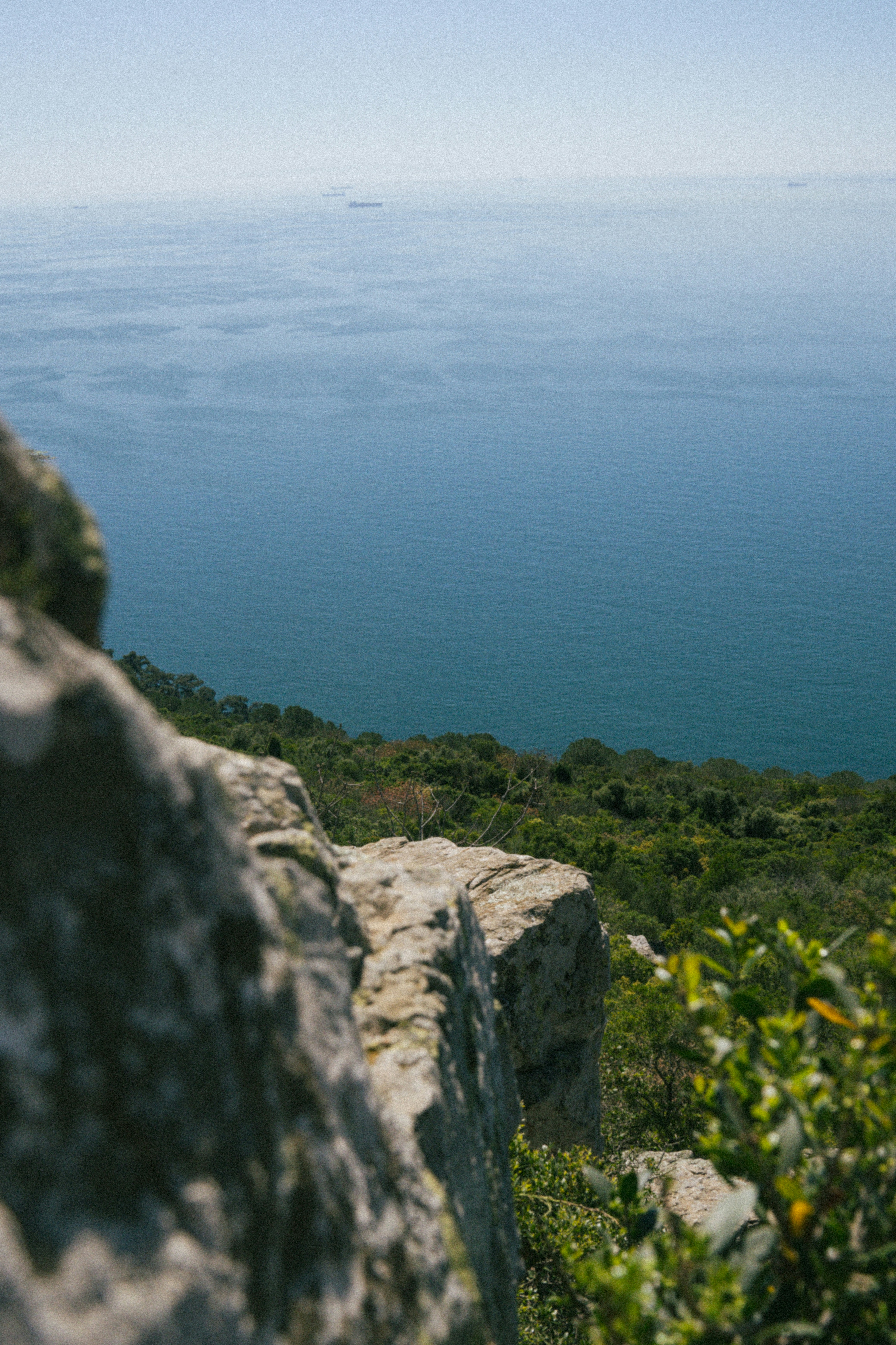 Photo by collinmarkross