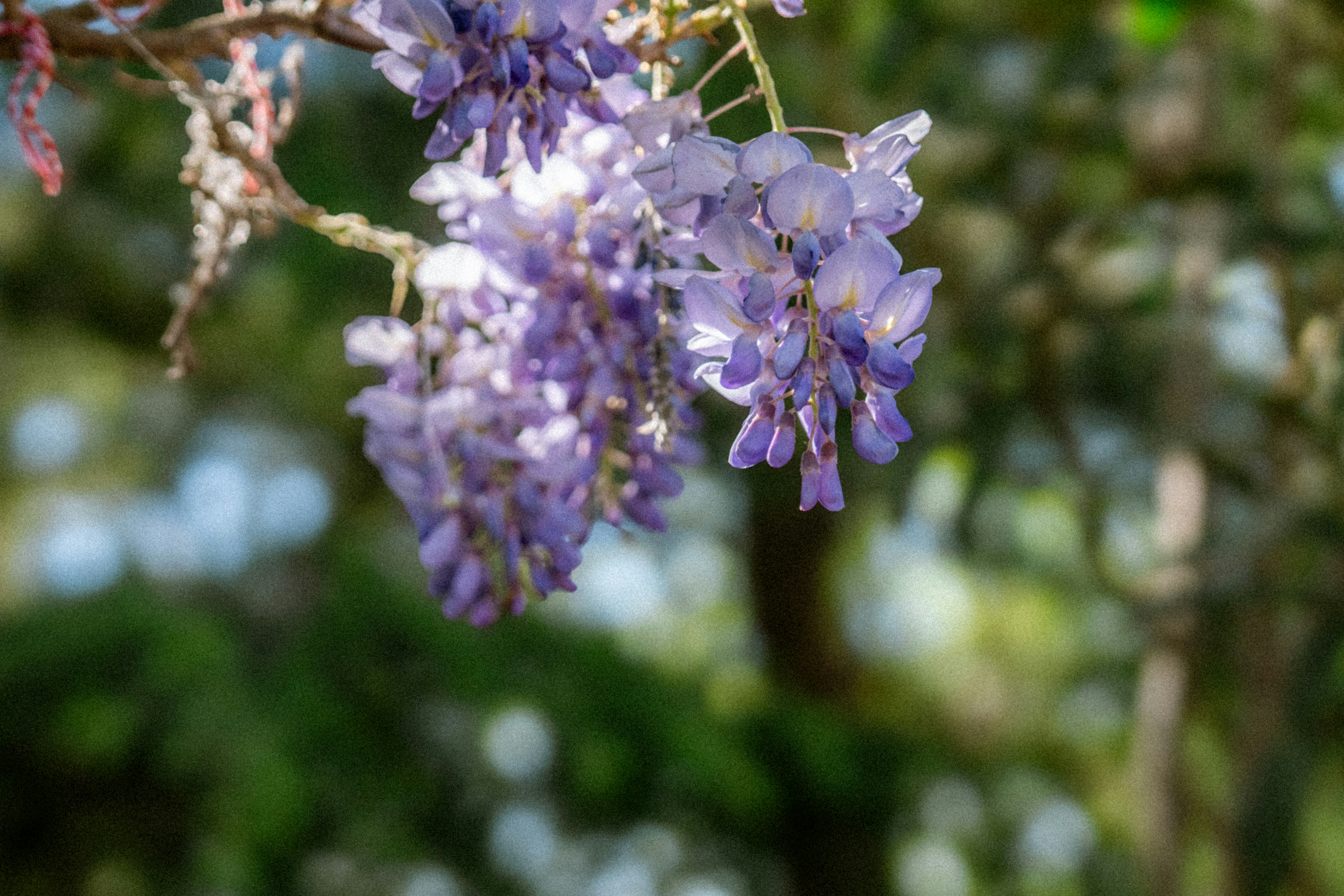 Photo by collinmarkross