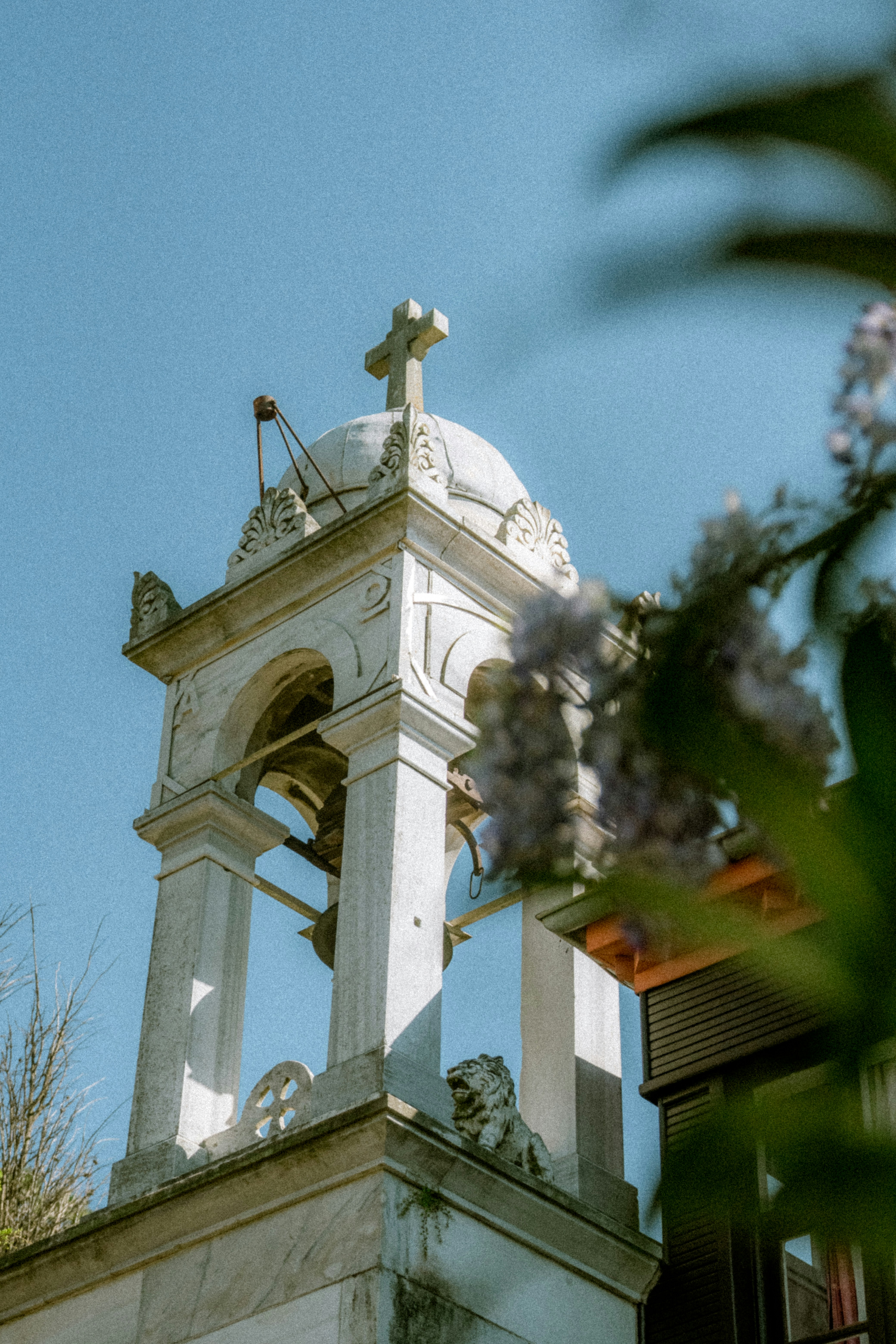 Photo by collinmarkross