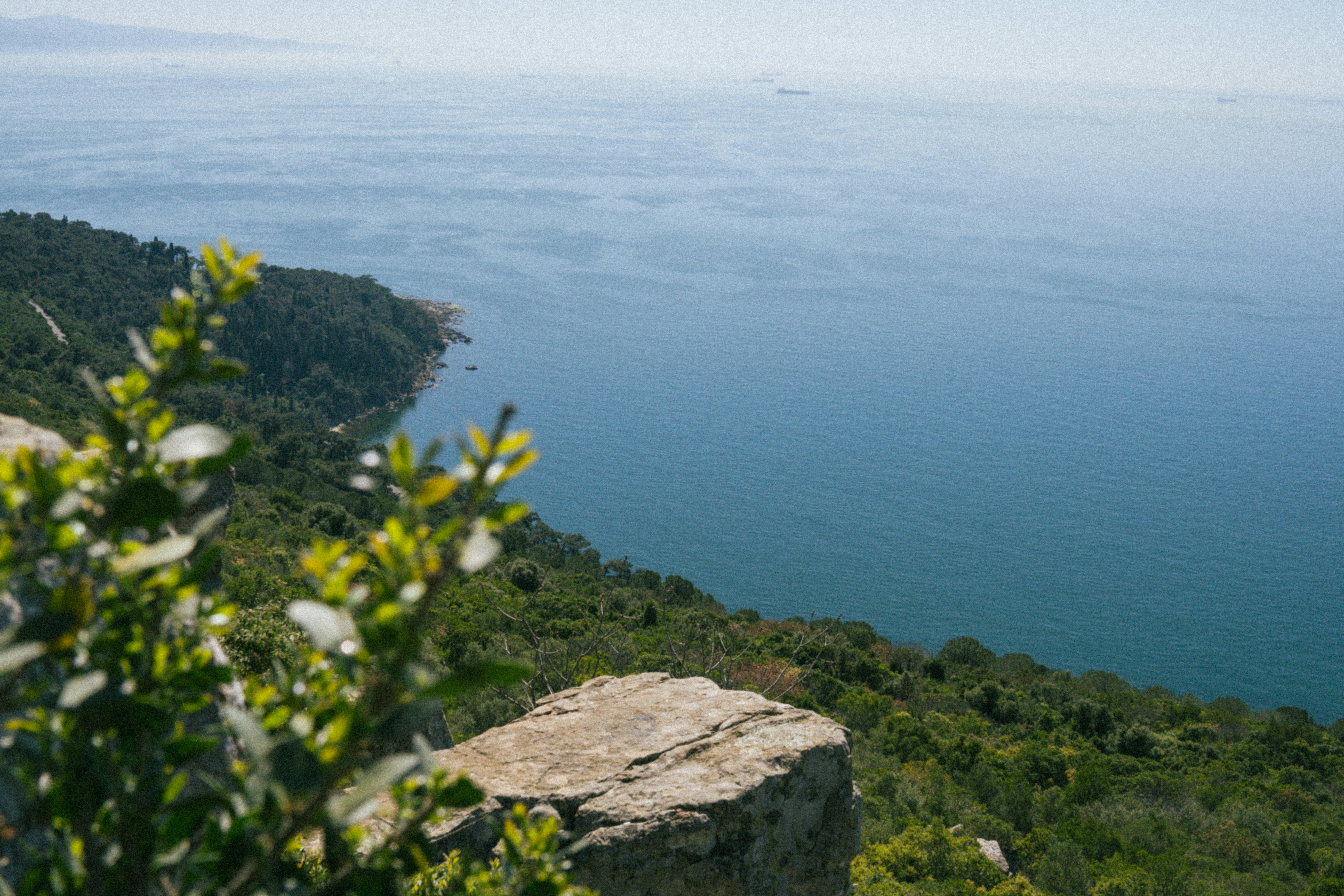 Photo by collinmarkross