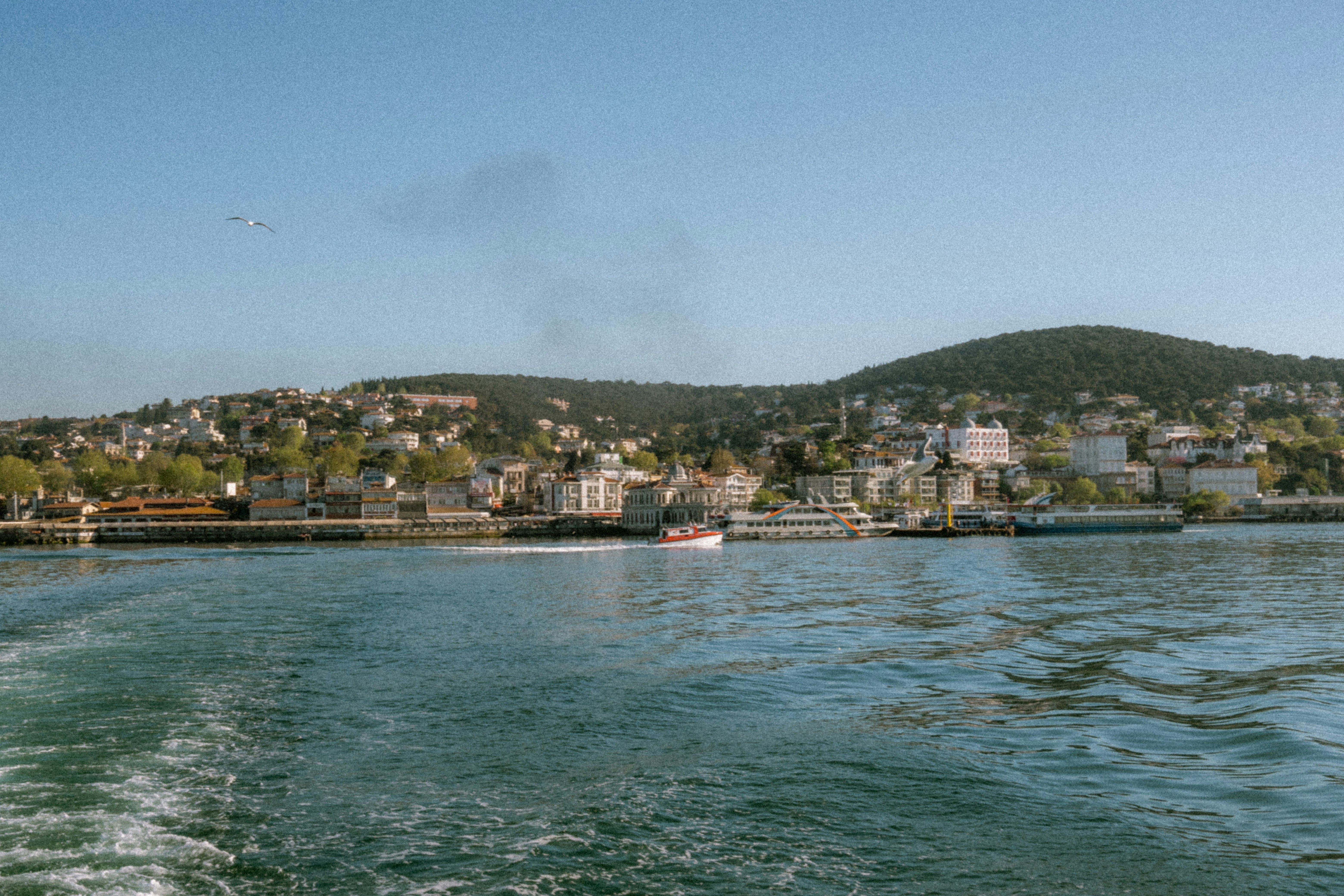 Photo by collinmarkross