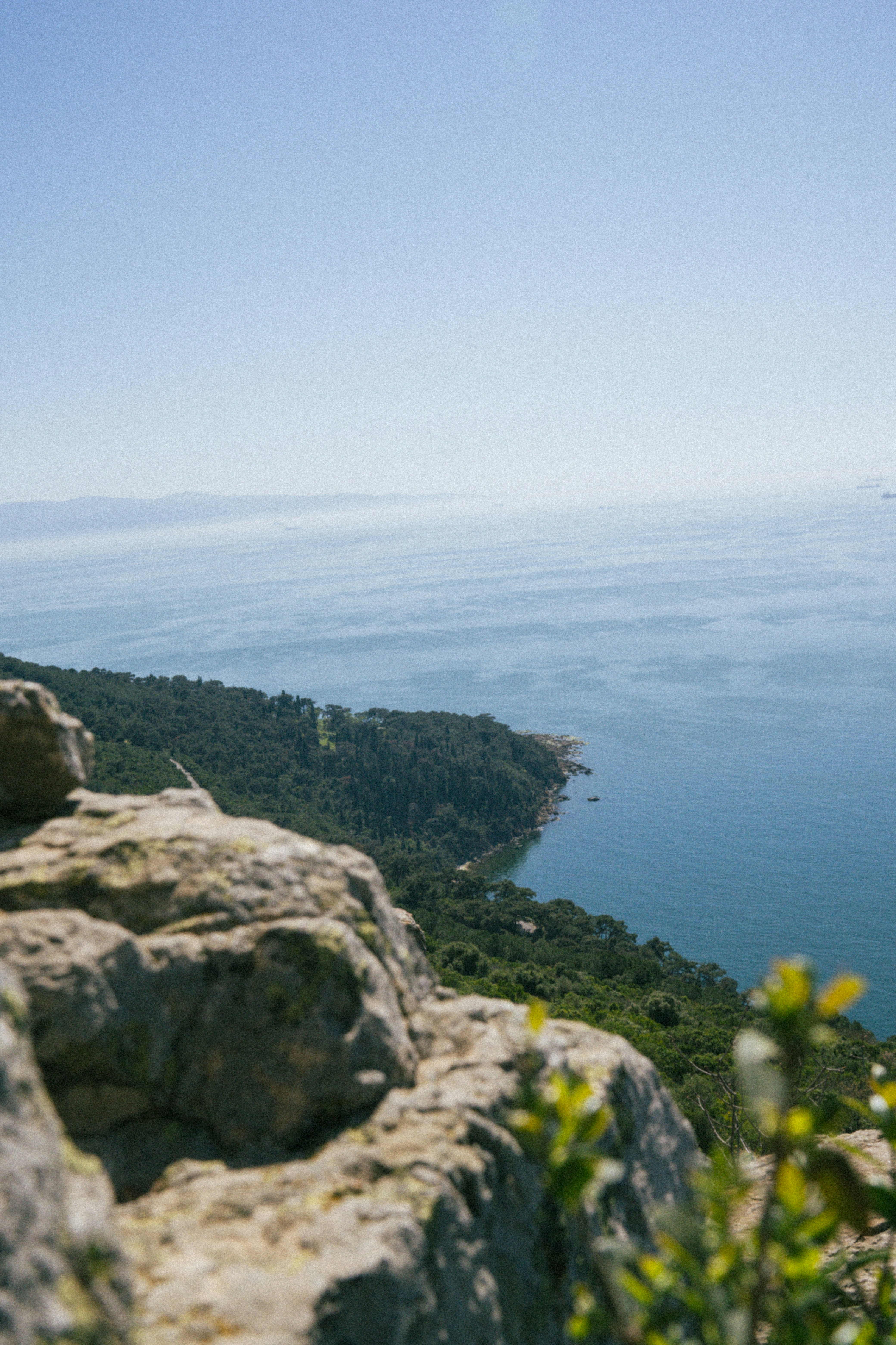 Photo by collinmarkross