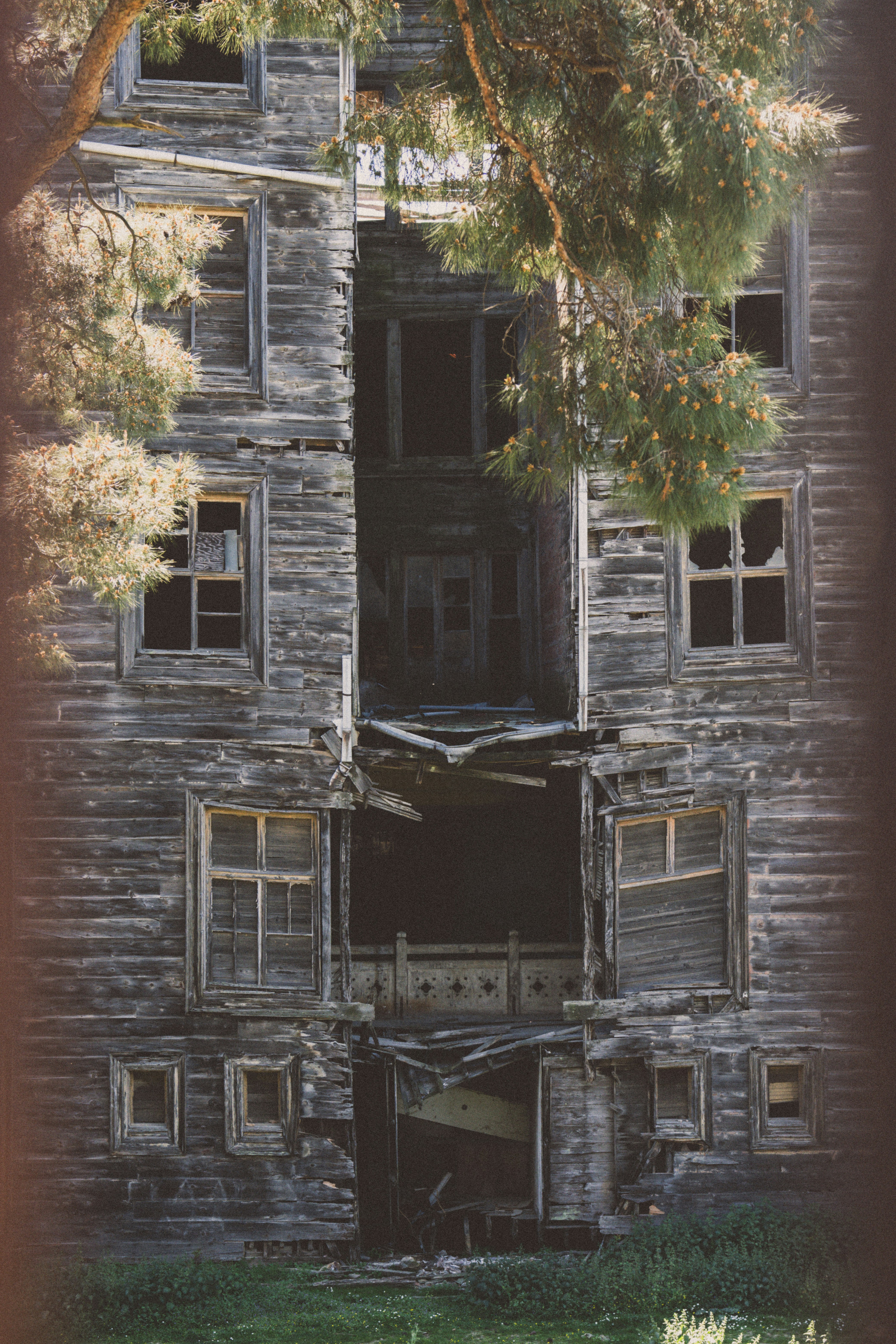 Photo by collinmarkross