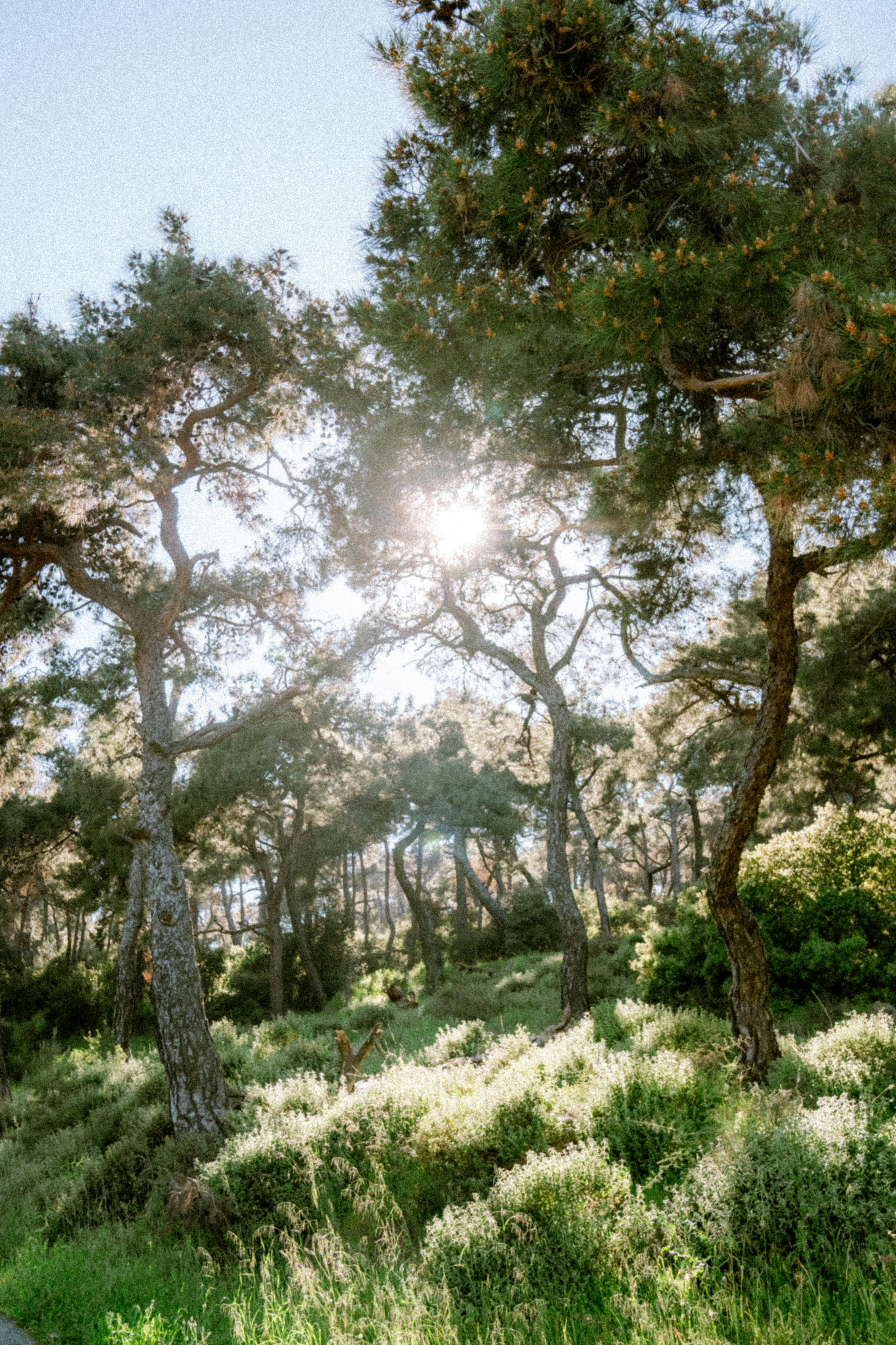 Photo by collinmarkross