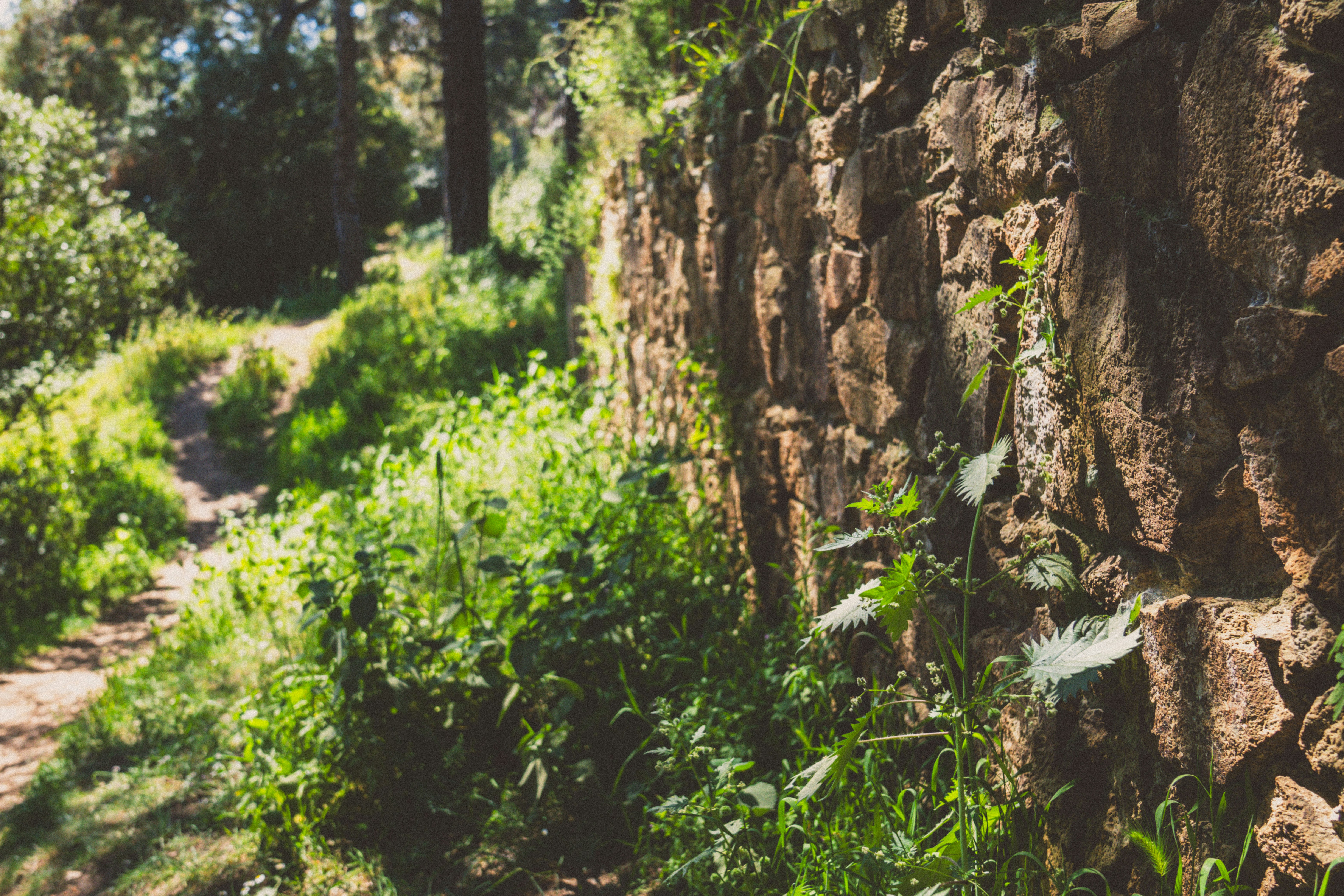 Photo by collinmarkross