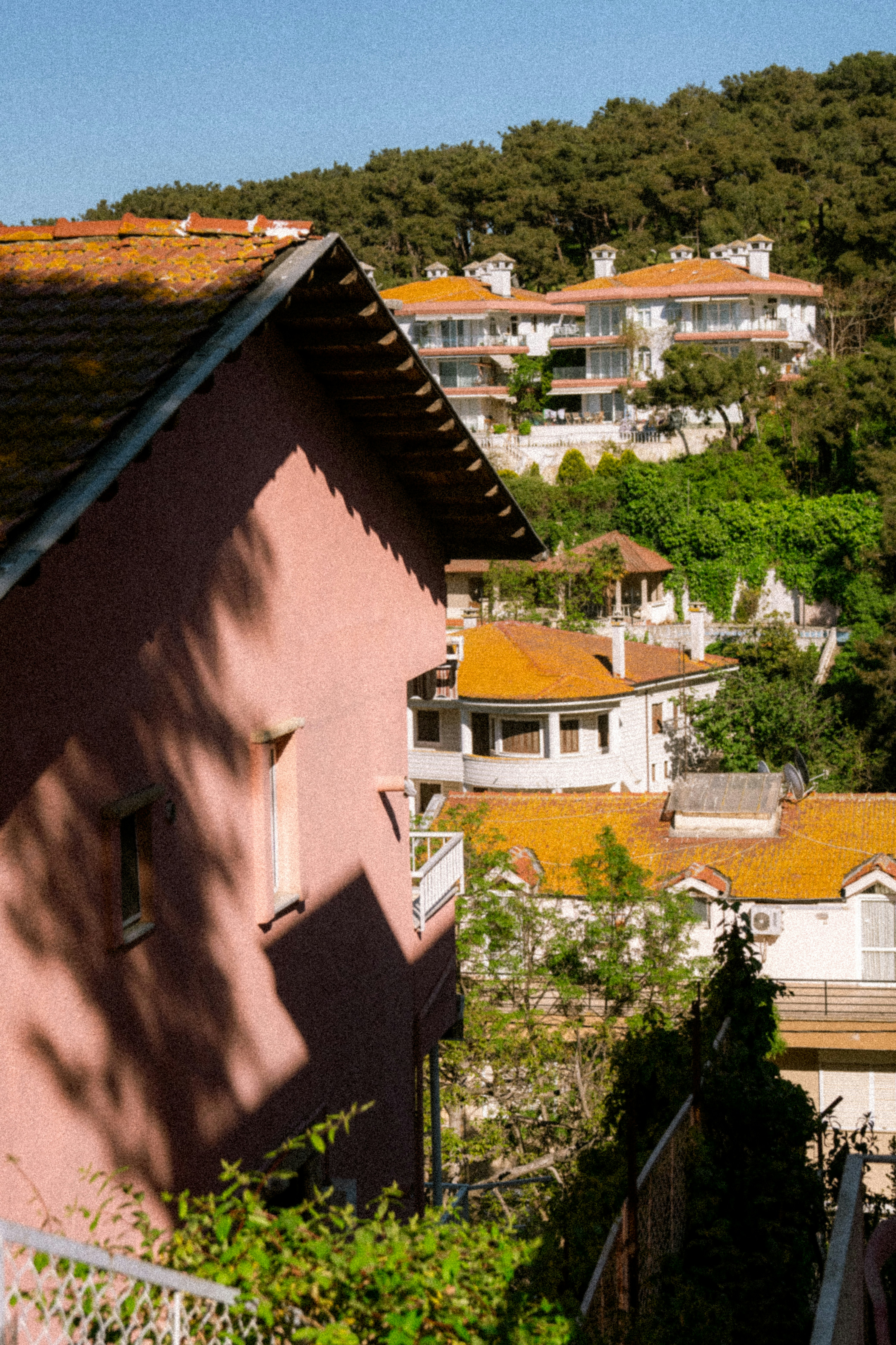 Photo by collinmarkross