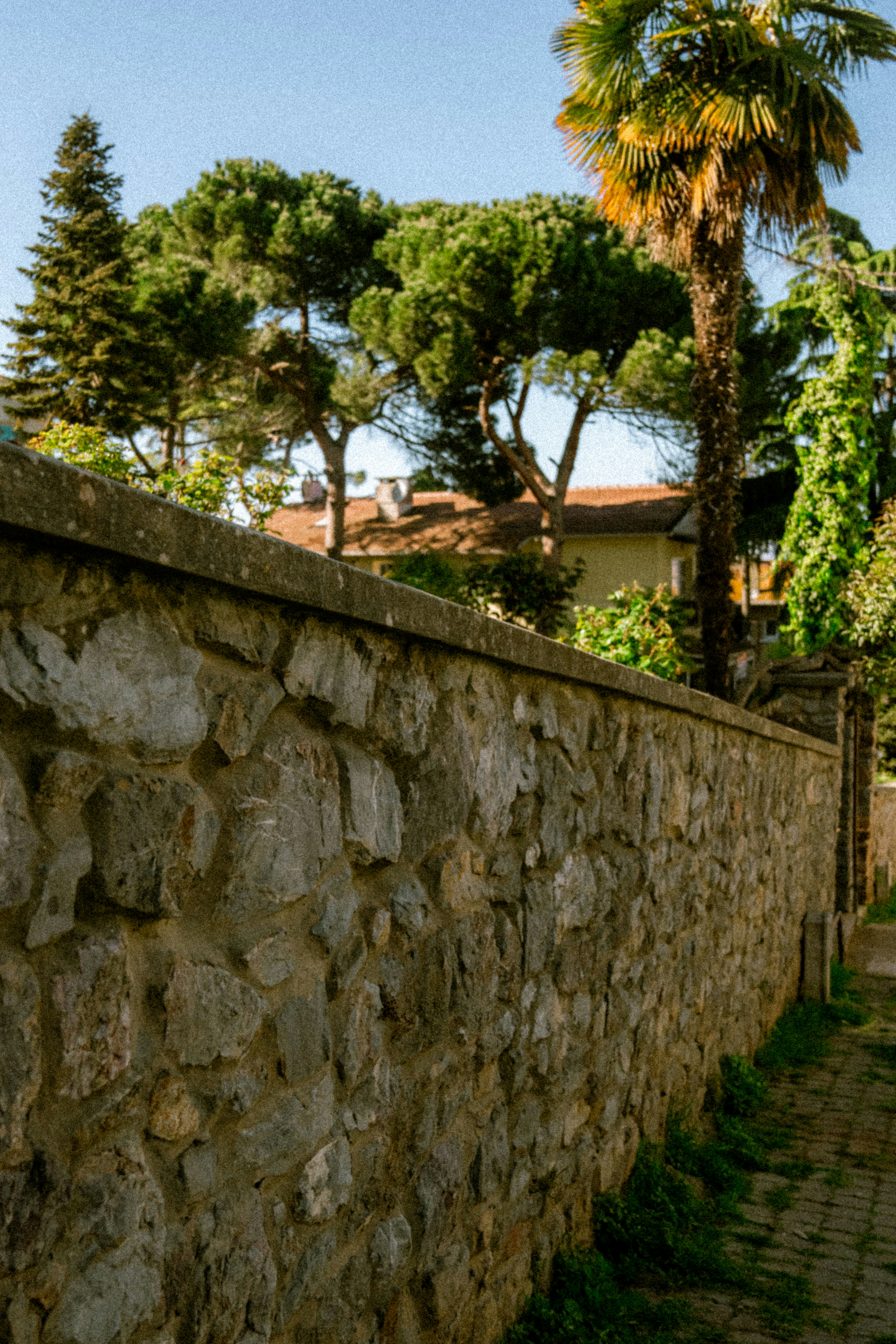 Photo by collinmarkross