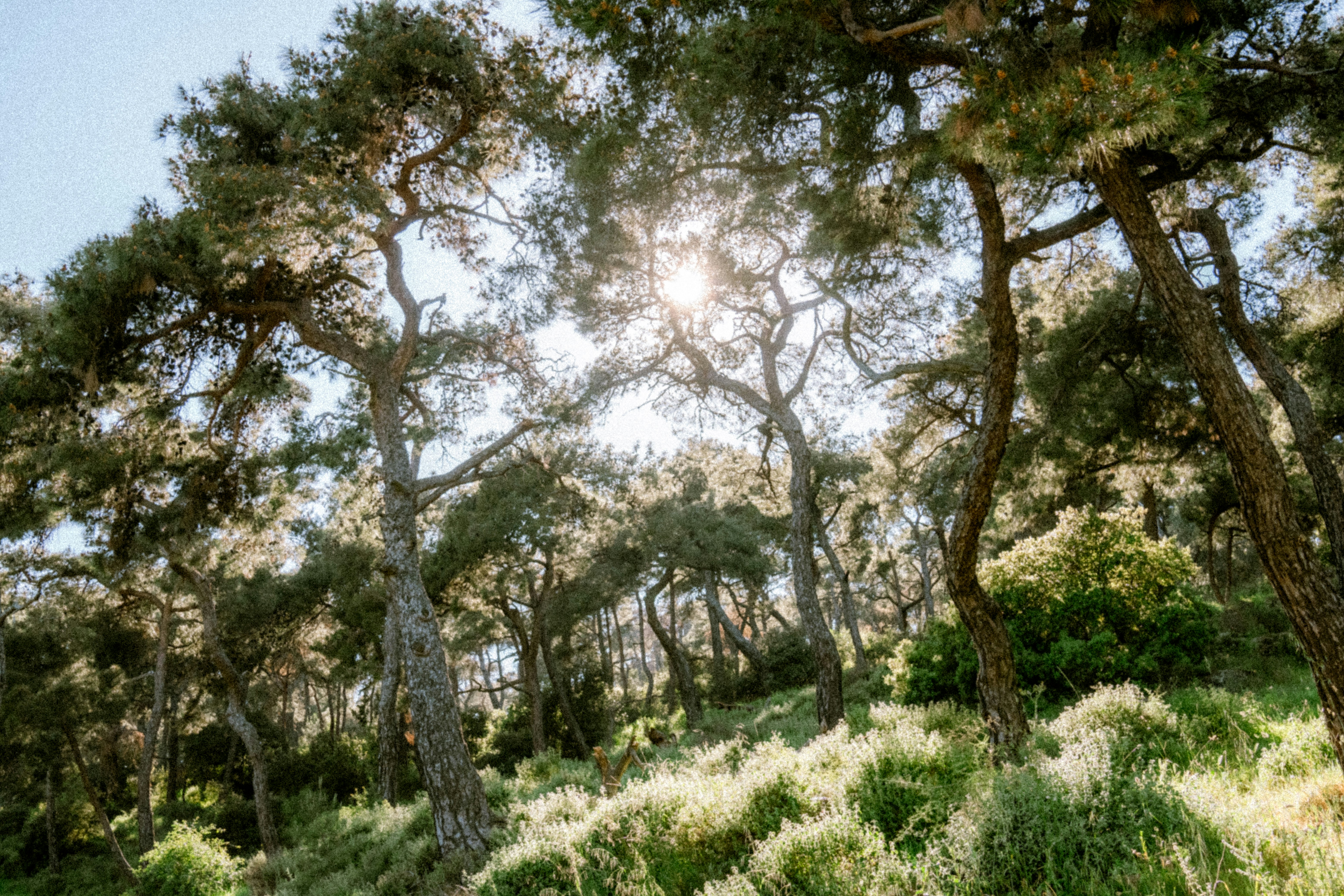 Photo by collinmarkross