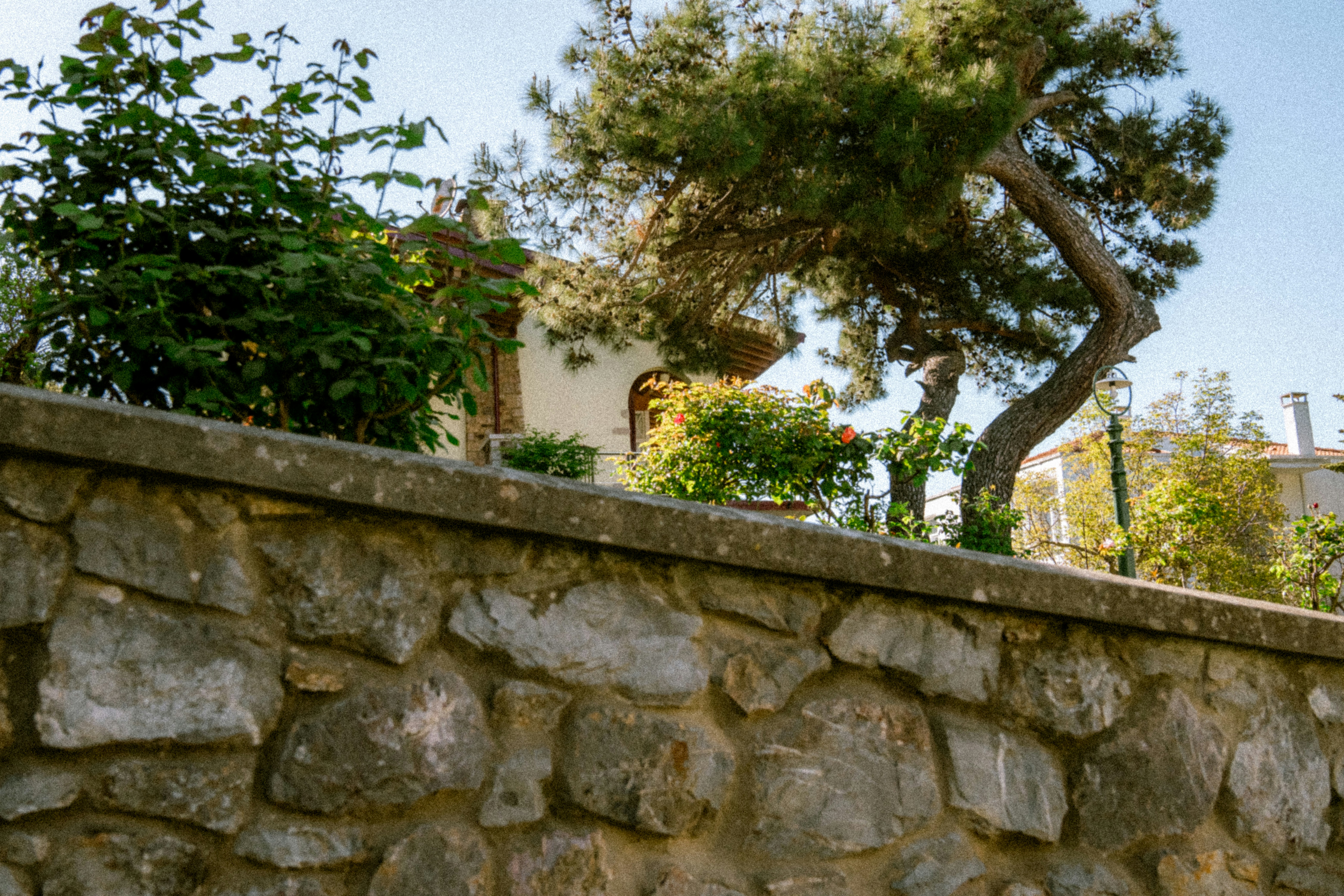 Photo by collinmarkross