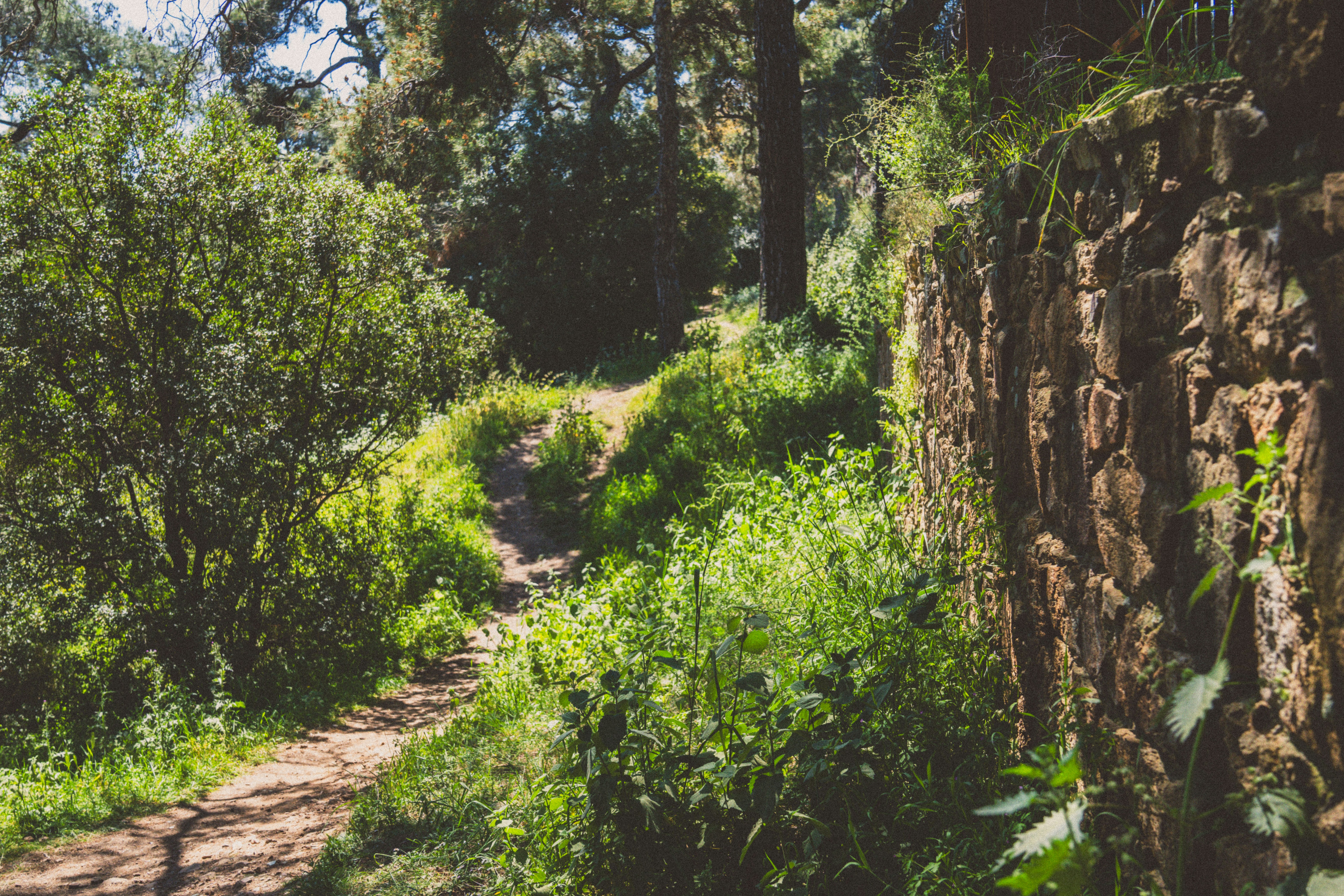 Photo by collinmarkross