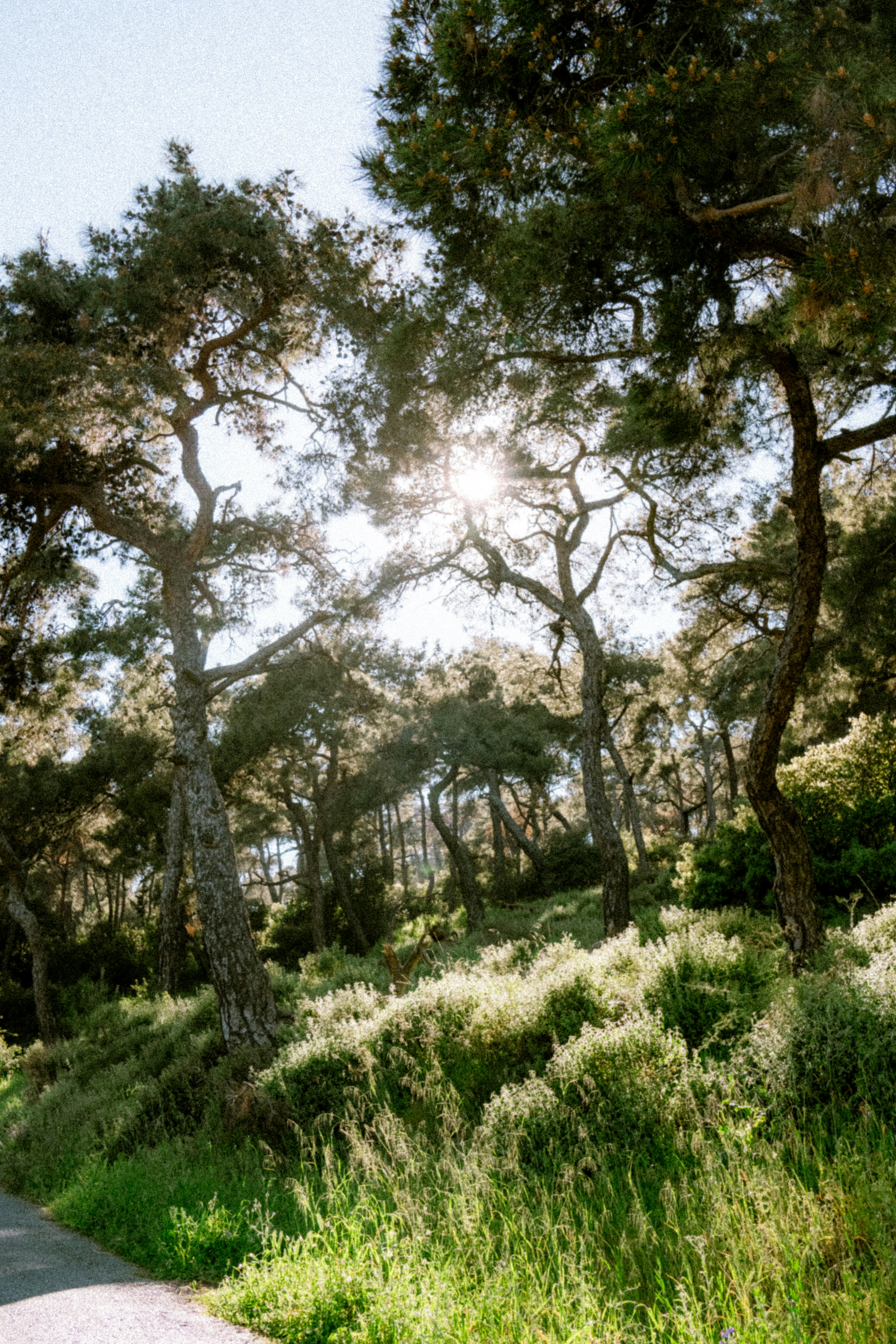 Photo by collinmarkross