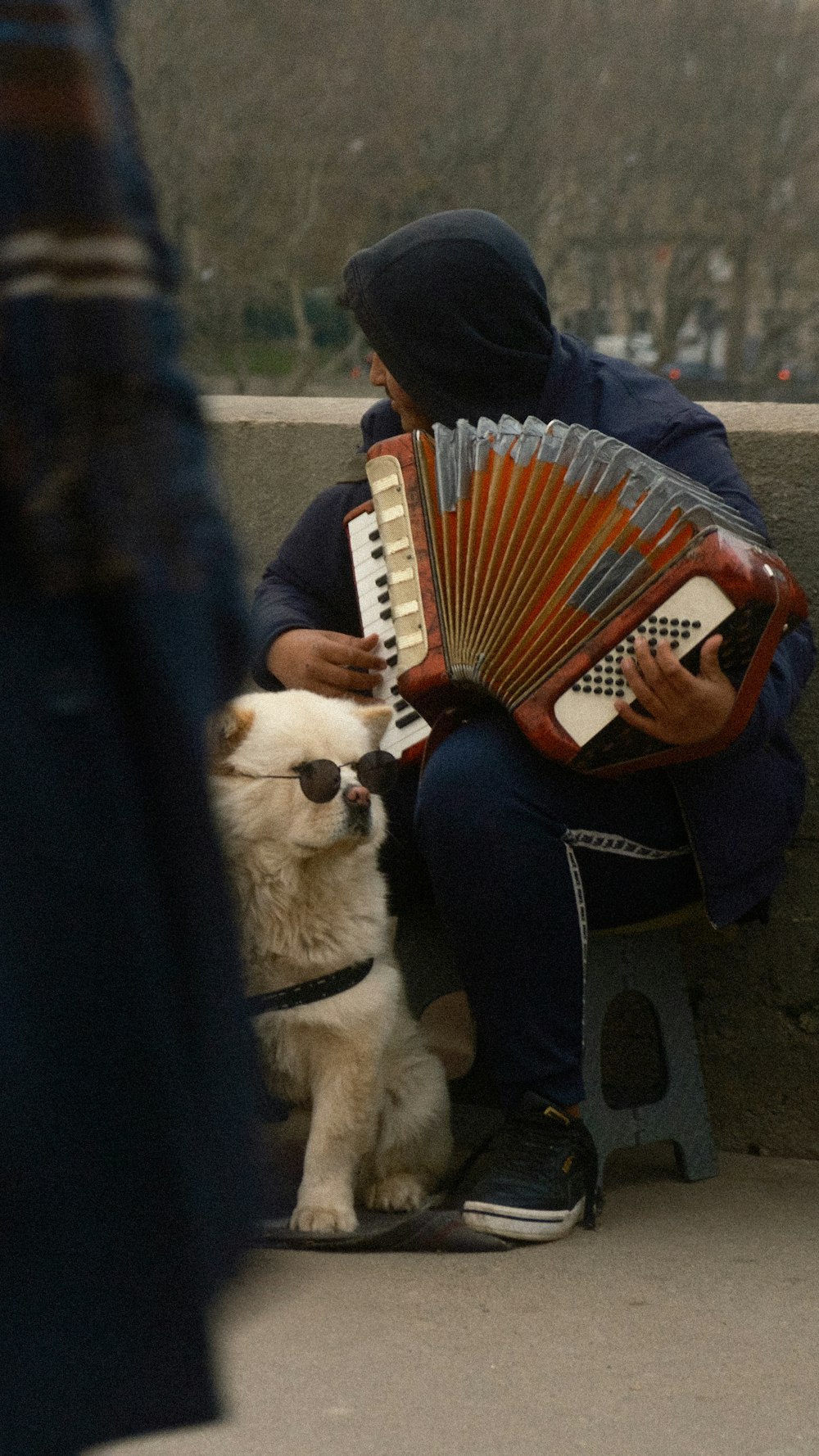 a person sitting on a bench with a dog and an accordion