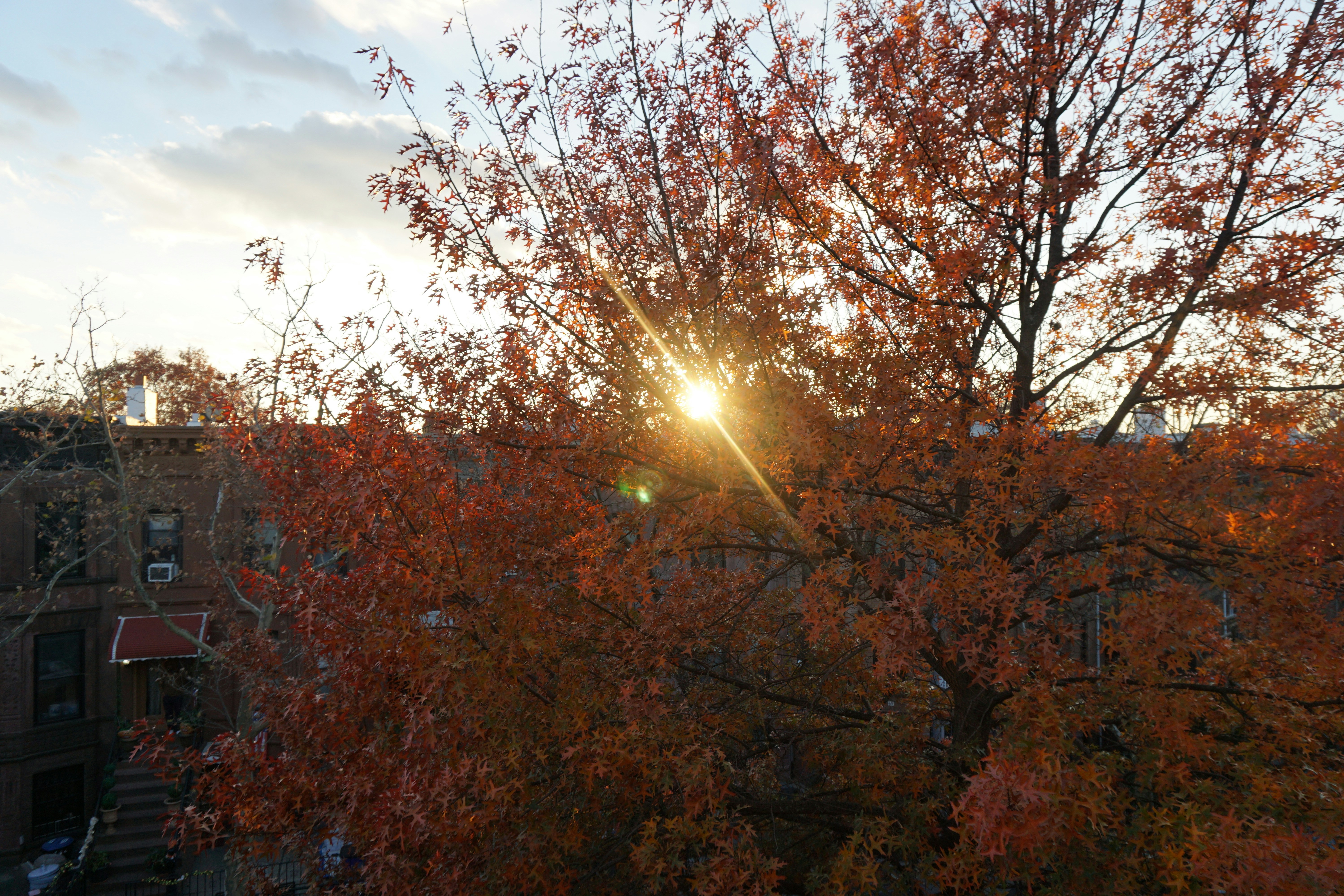 Photo by frolicsomefairy