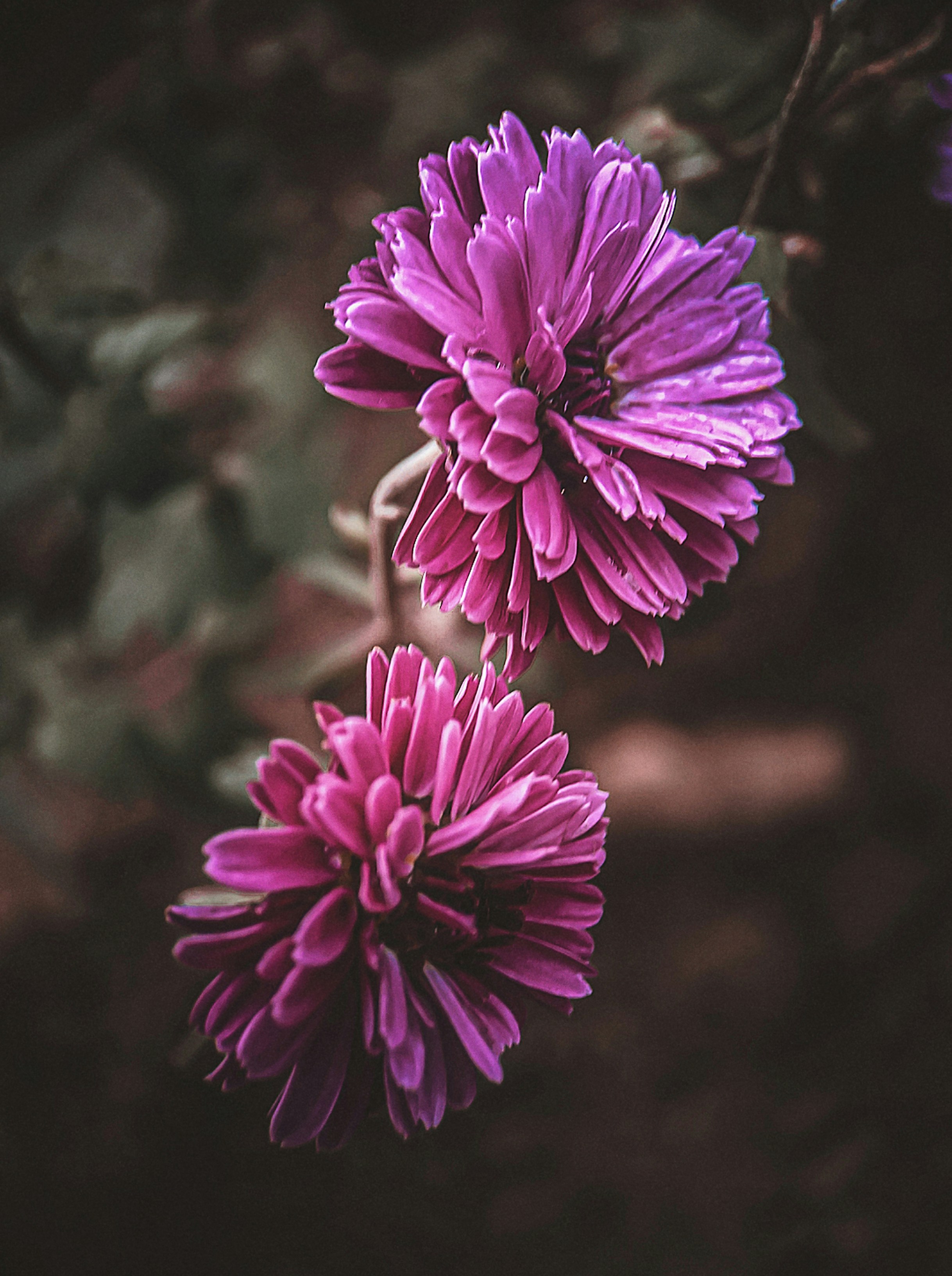 Photo by augb