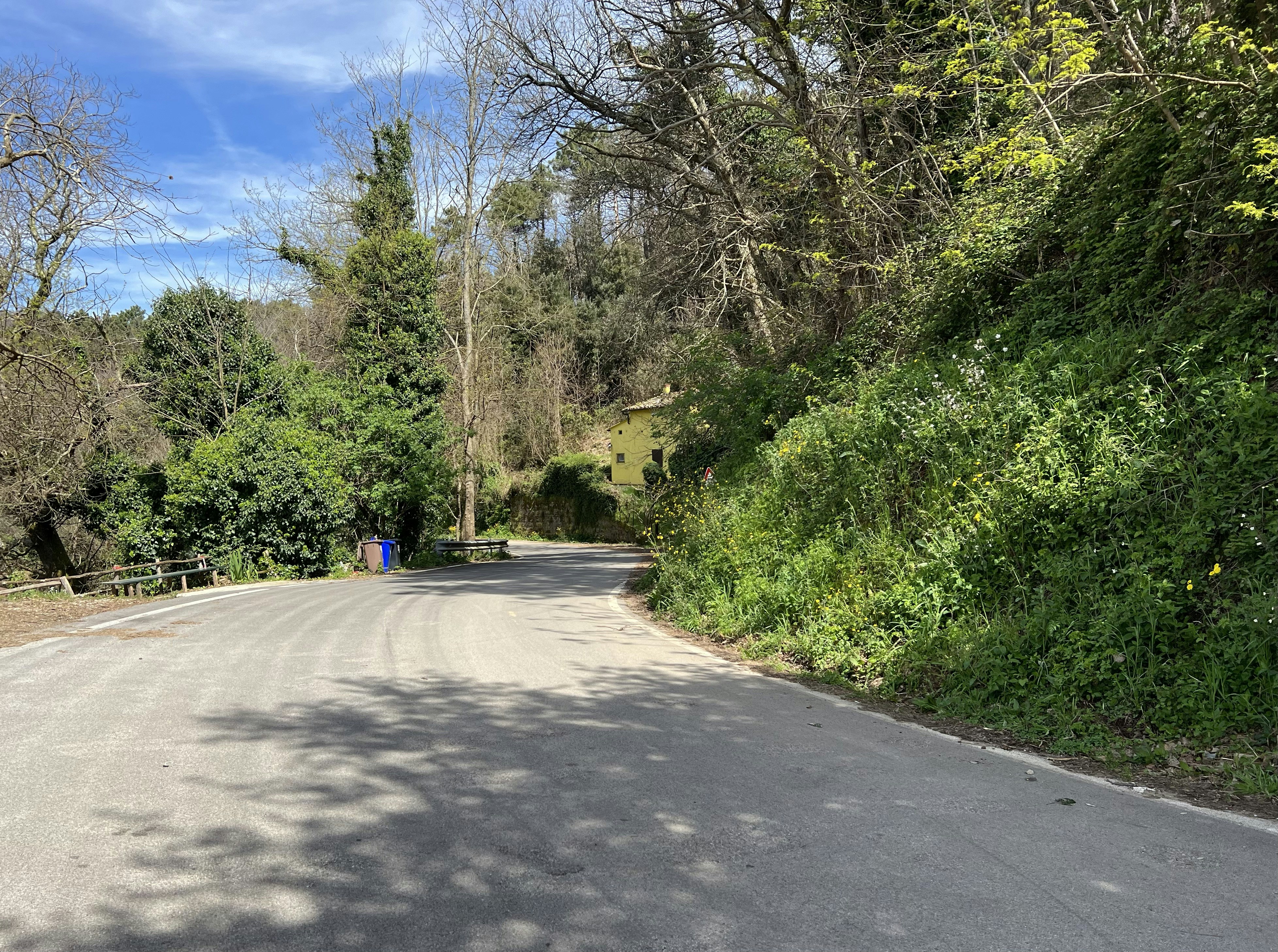 a person riding a skateboard down a street