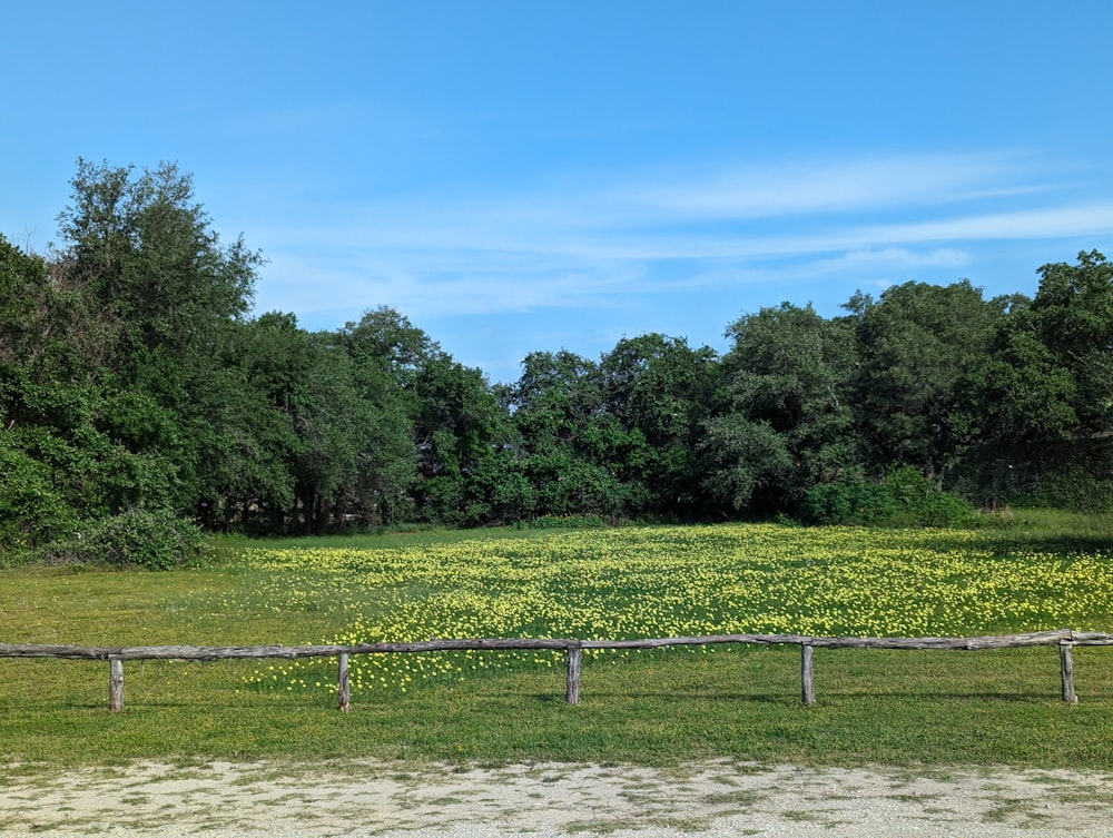 un campo con una valla de madera en el centro