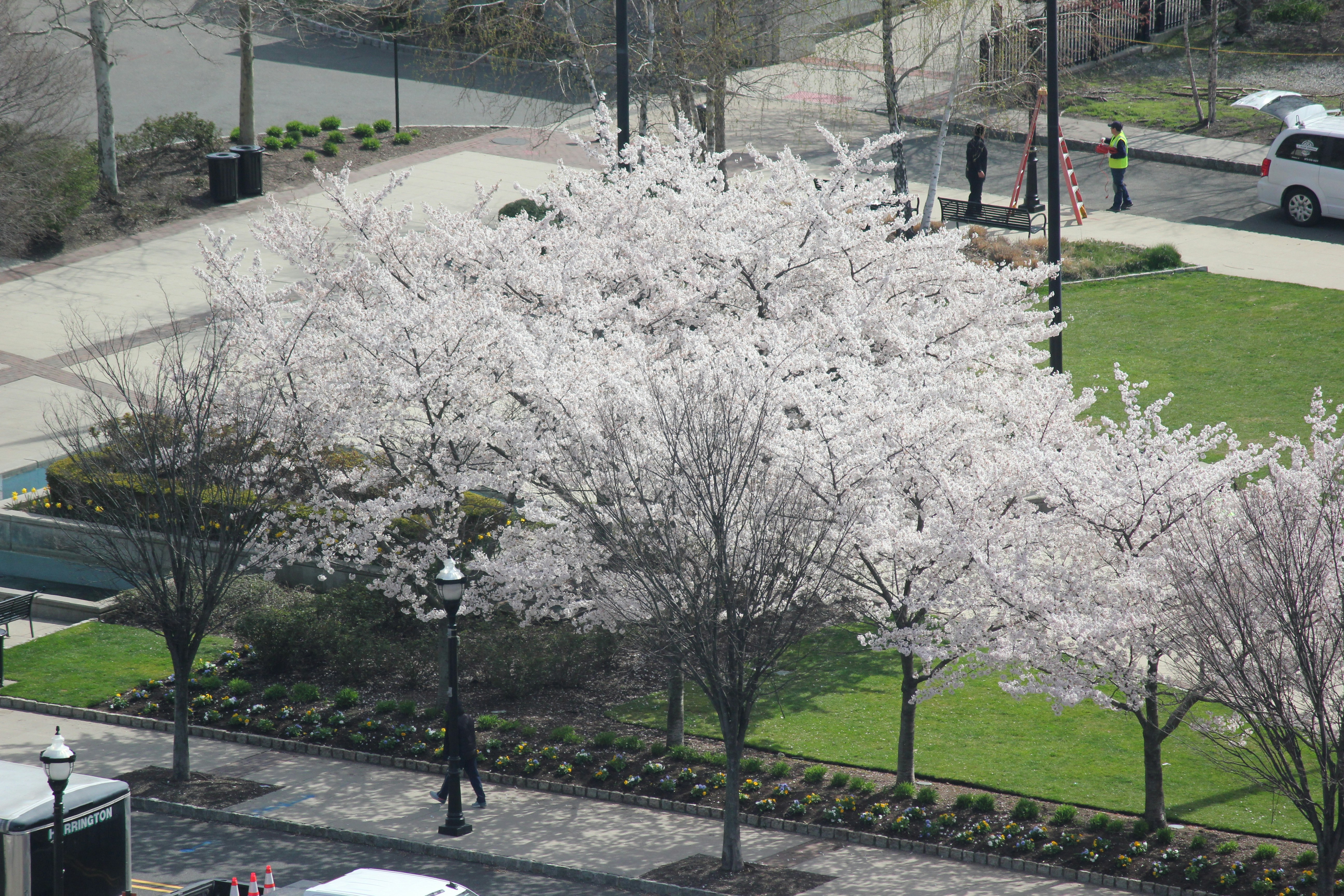 Photo by frolicsomefairy