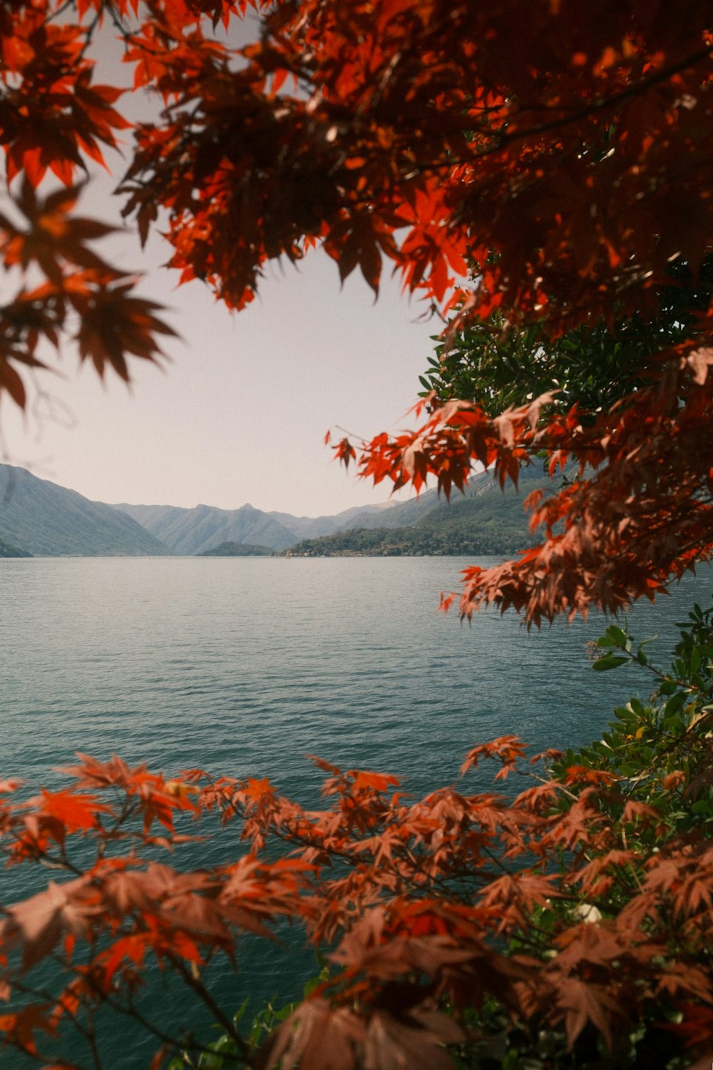 a view of a body of water with mountains in the background