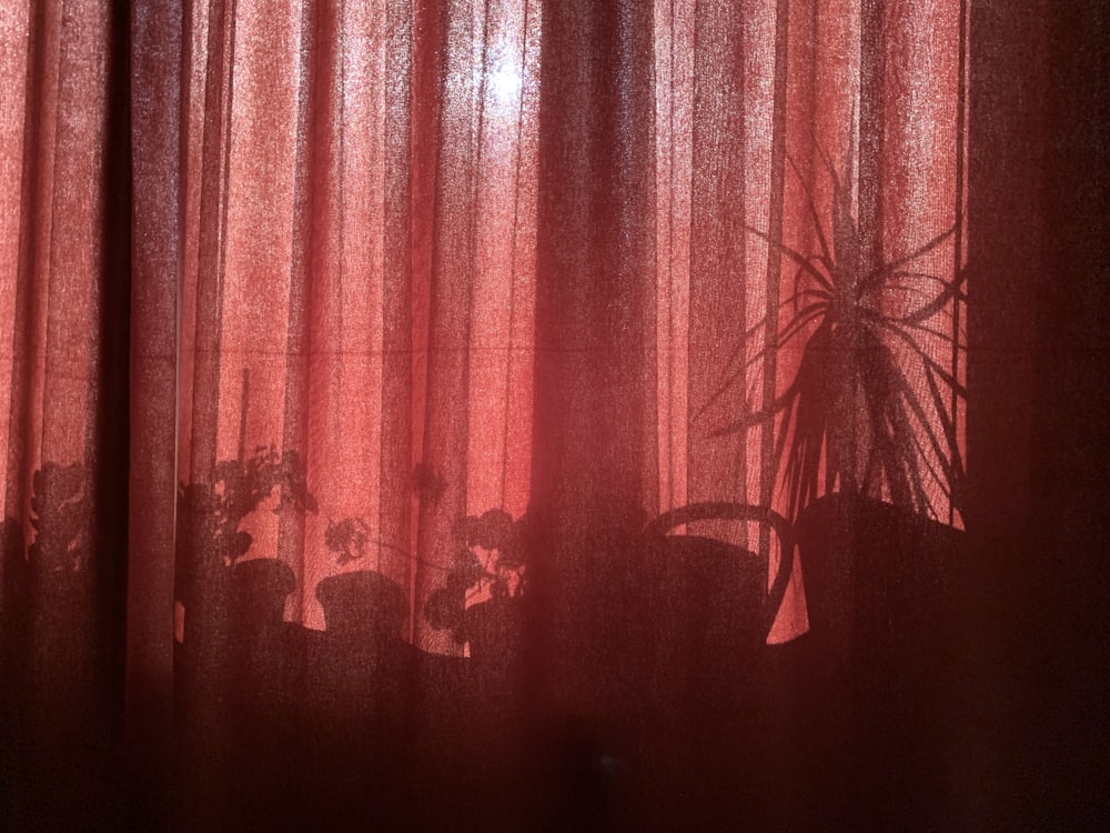a red curtain with a potted plant behind it
