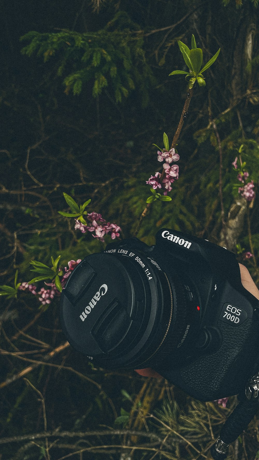 a person holding a camera in their hand