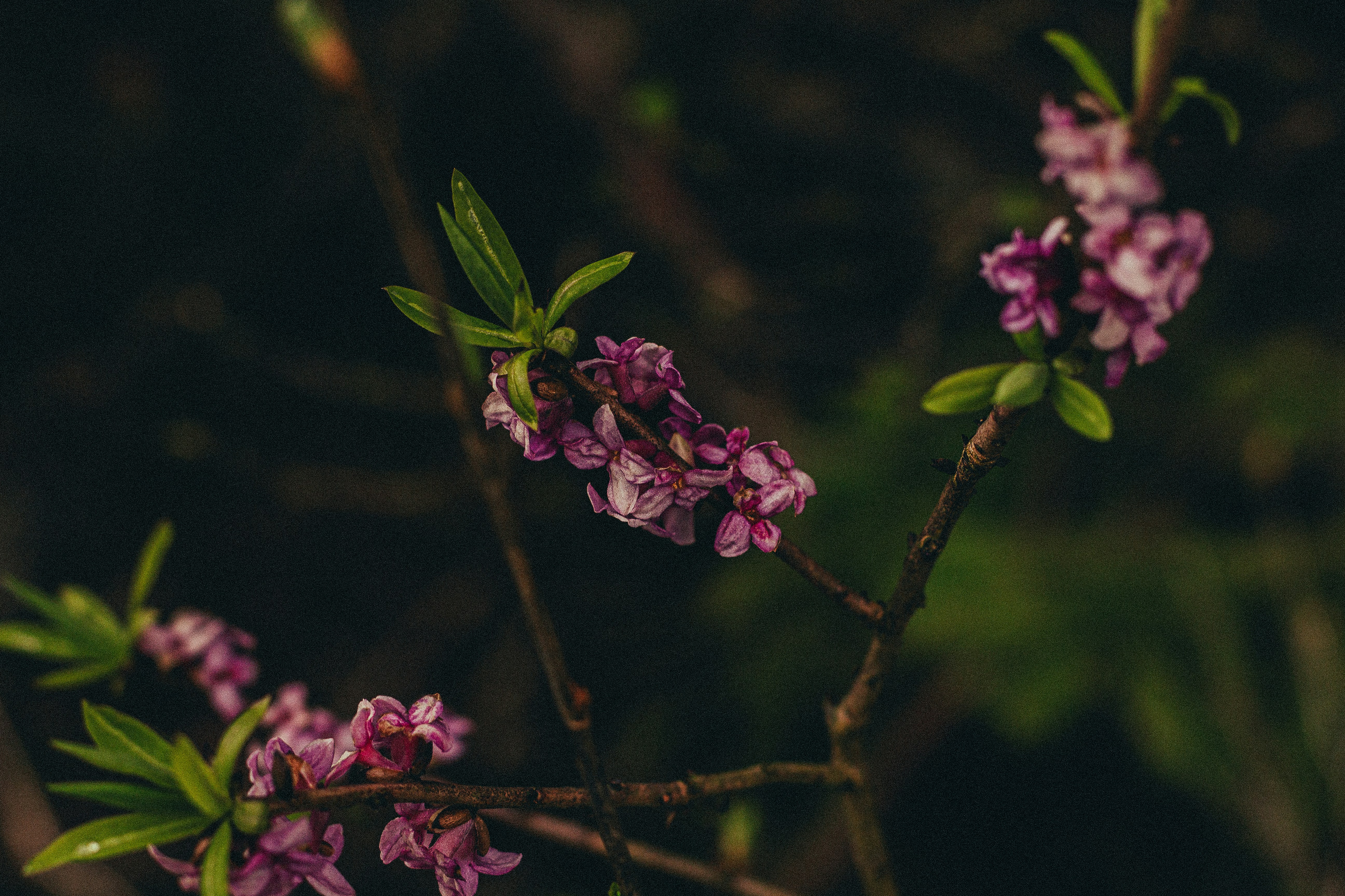 Photo by maximyuryshev