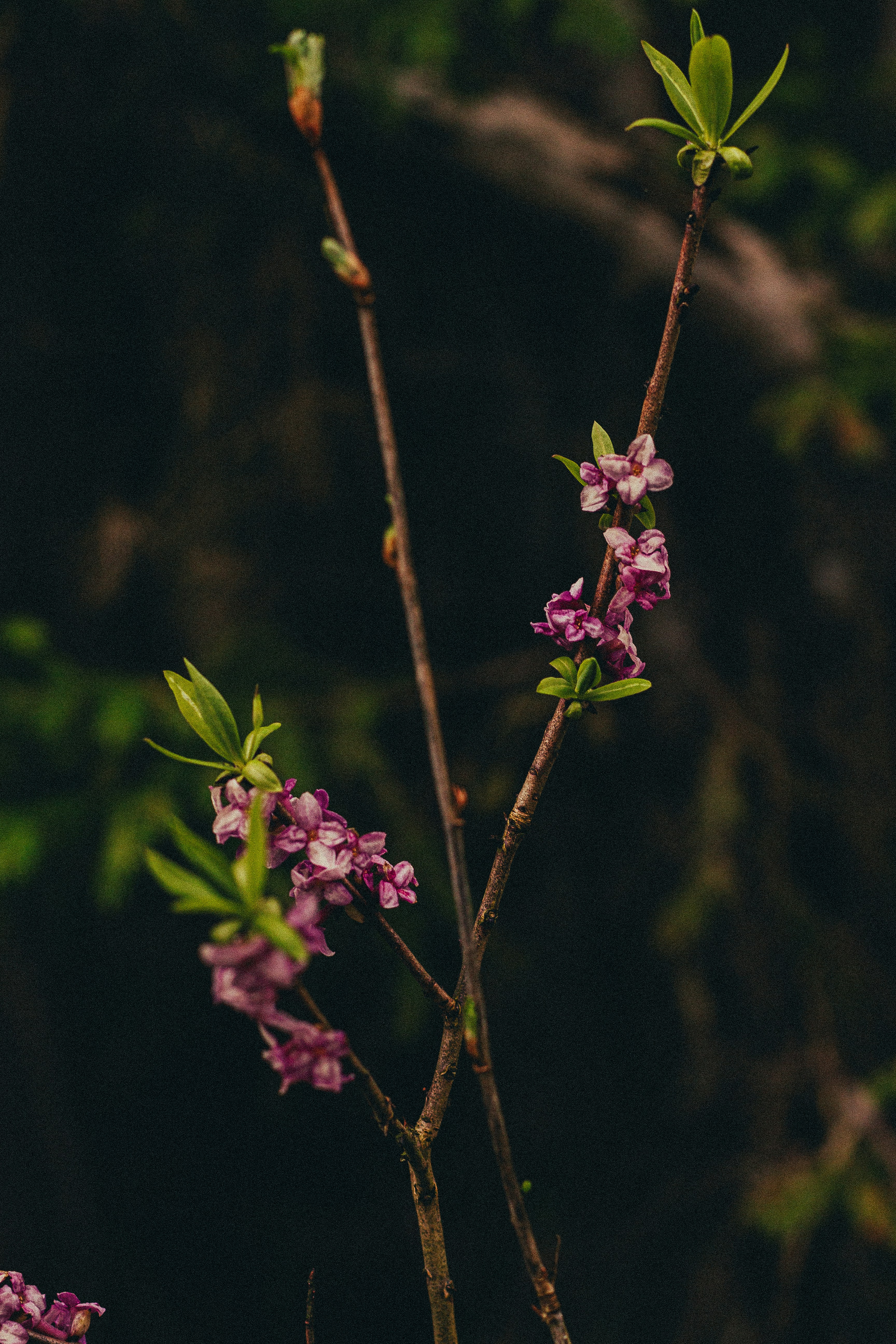 Photo by maximyuryshev