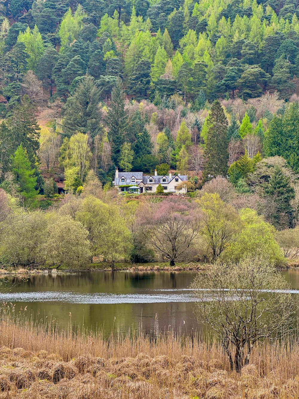 a house sits on a hill above a lake