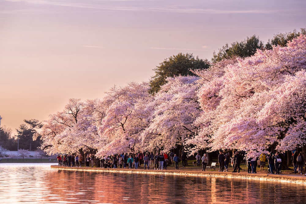 a group of people standing next to a body of water