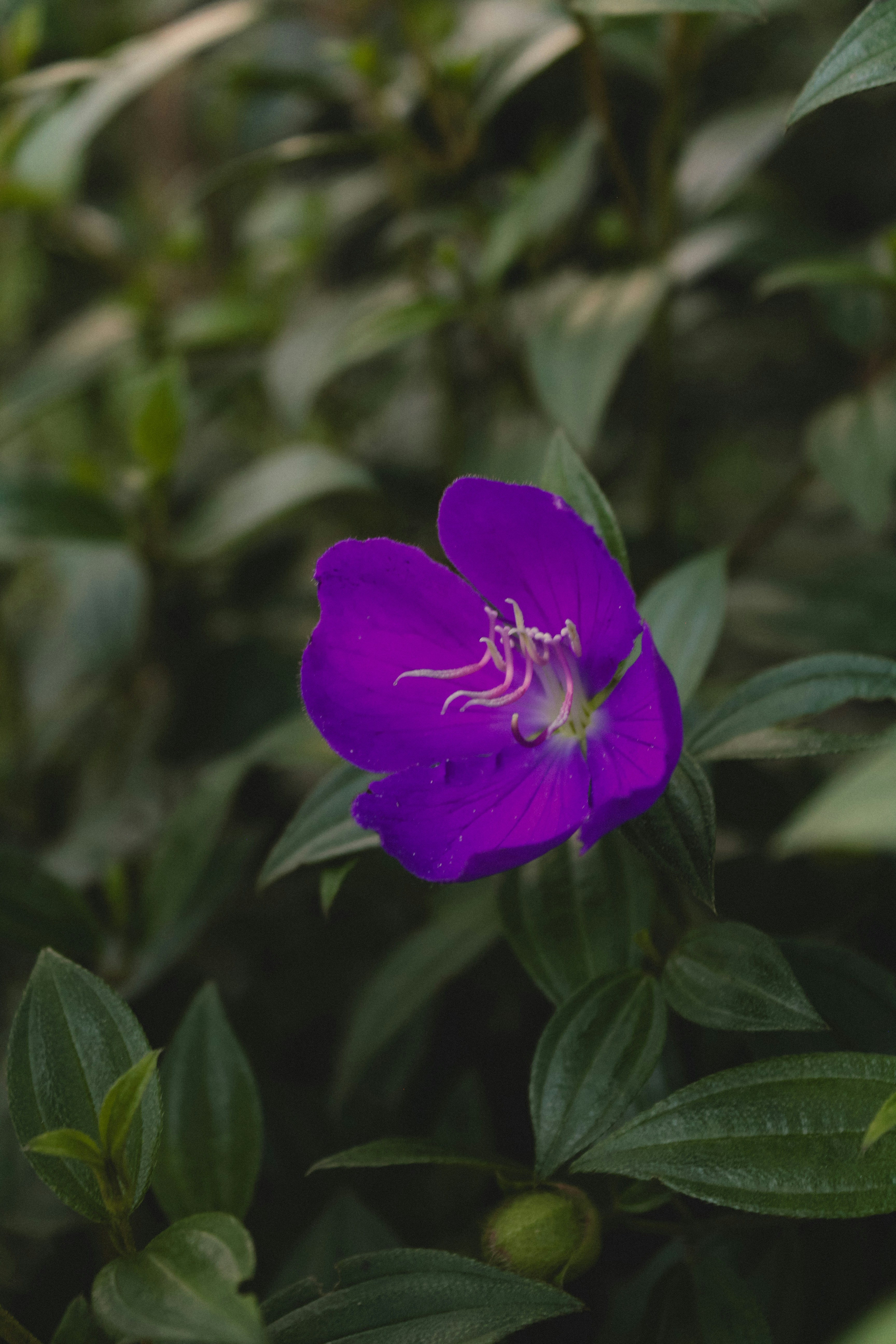 Photo by littlewitchygirl