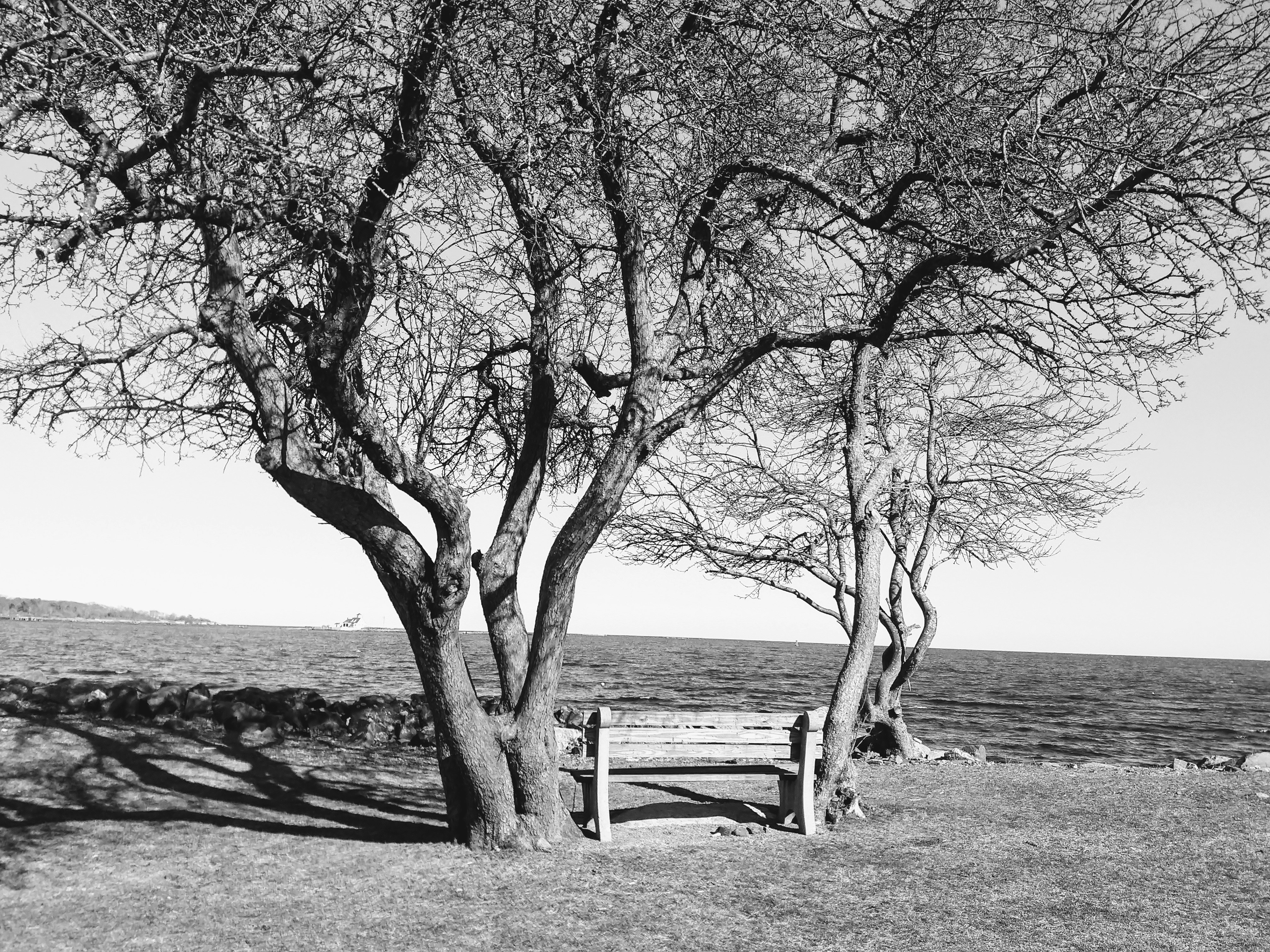 Photo by garnicanetwork