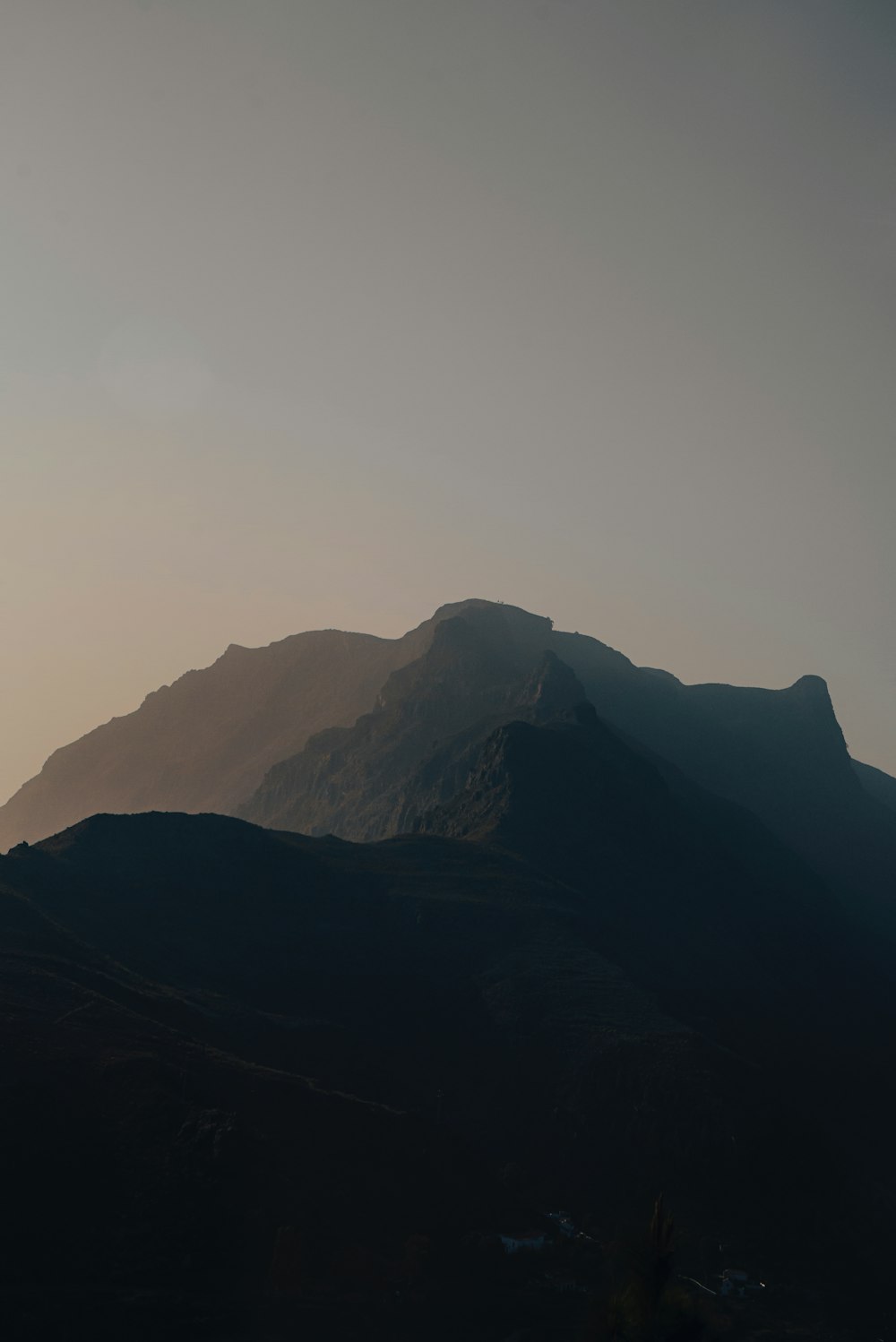 a view of a mountain with a bird flying over it