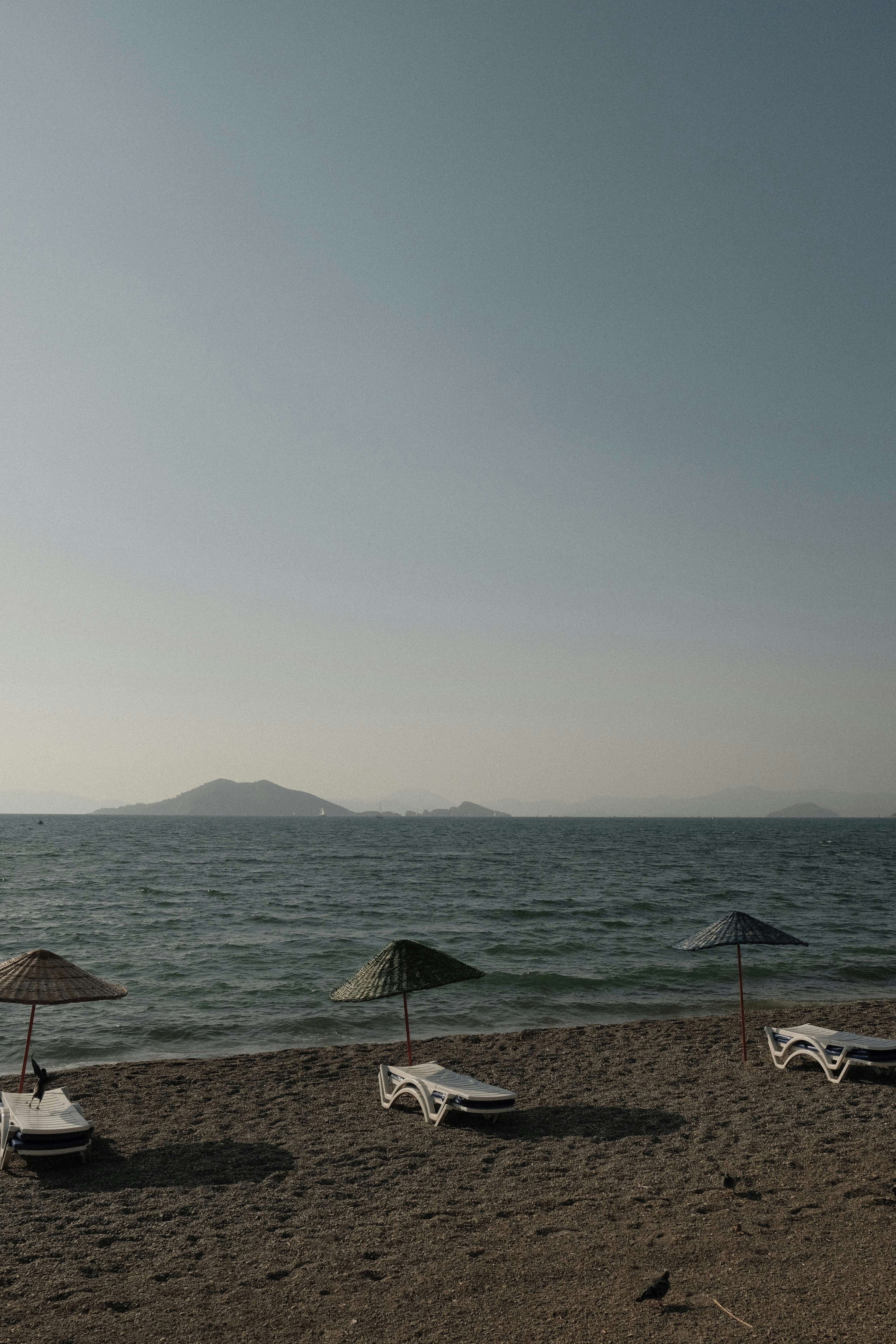 Photo by christieluke