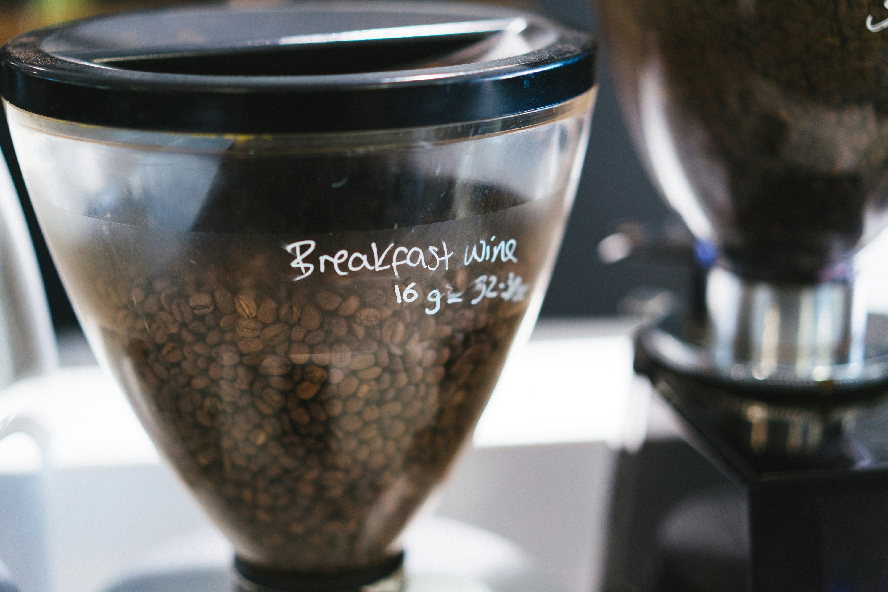 coffee seed germination laboratory science agriculture