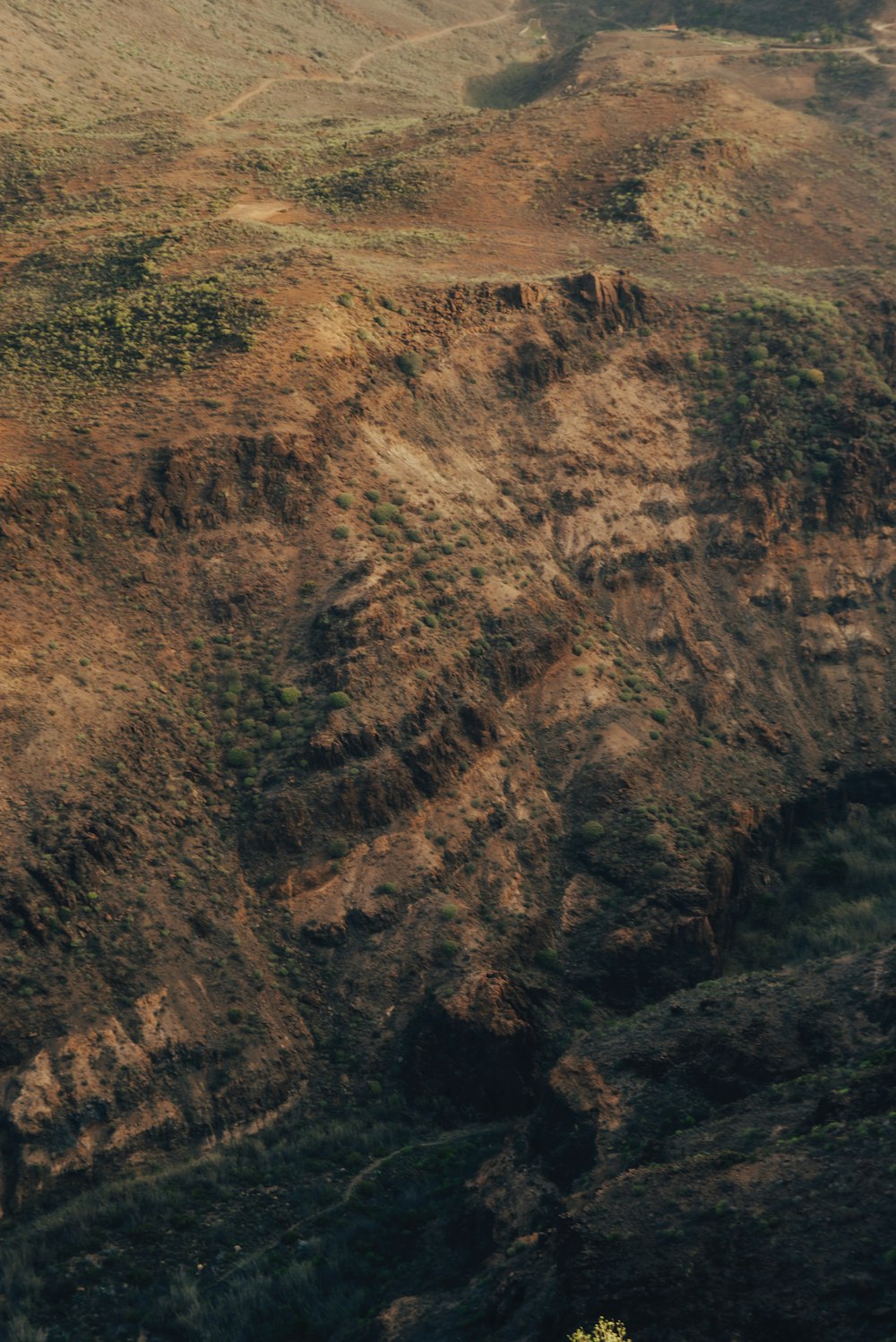 a view of a mountain side with a tree in the foreground