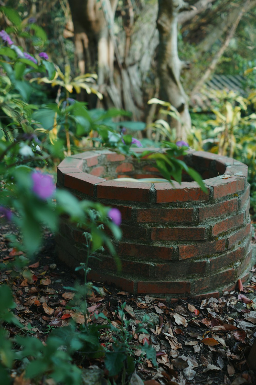 uma fogueira de tijolos no meio de um jardim