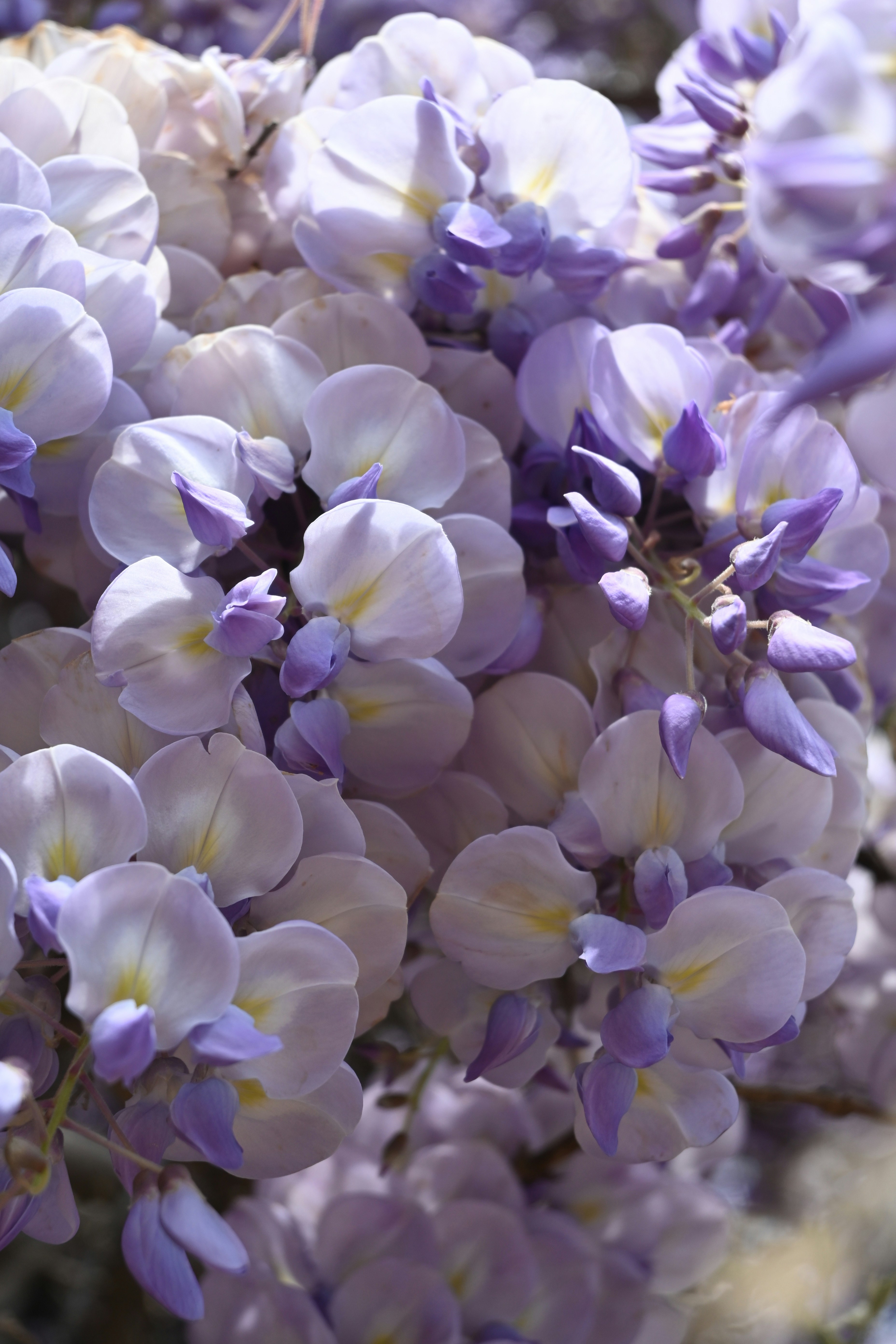 Photo by karolinabobek