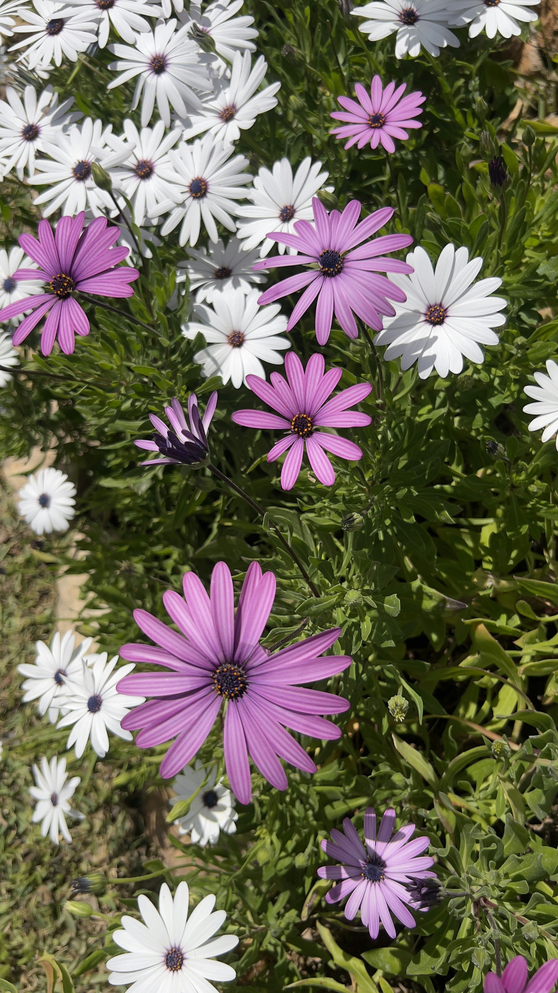 Photo by sandyonmars