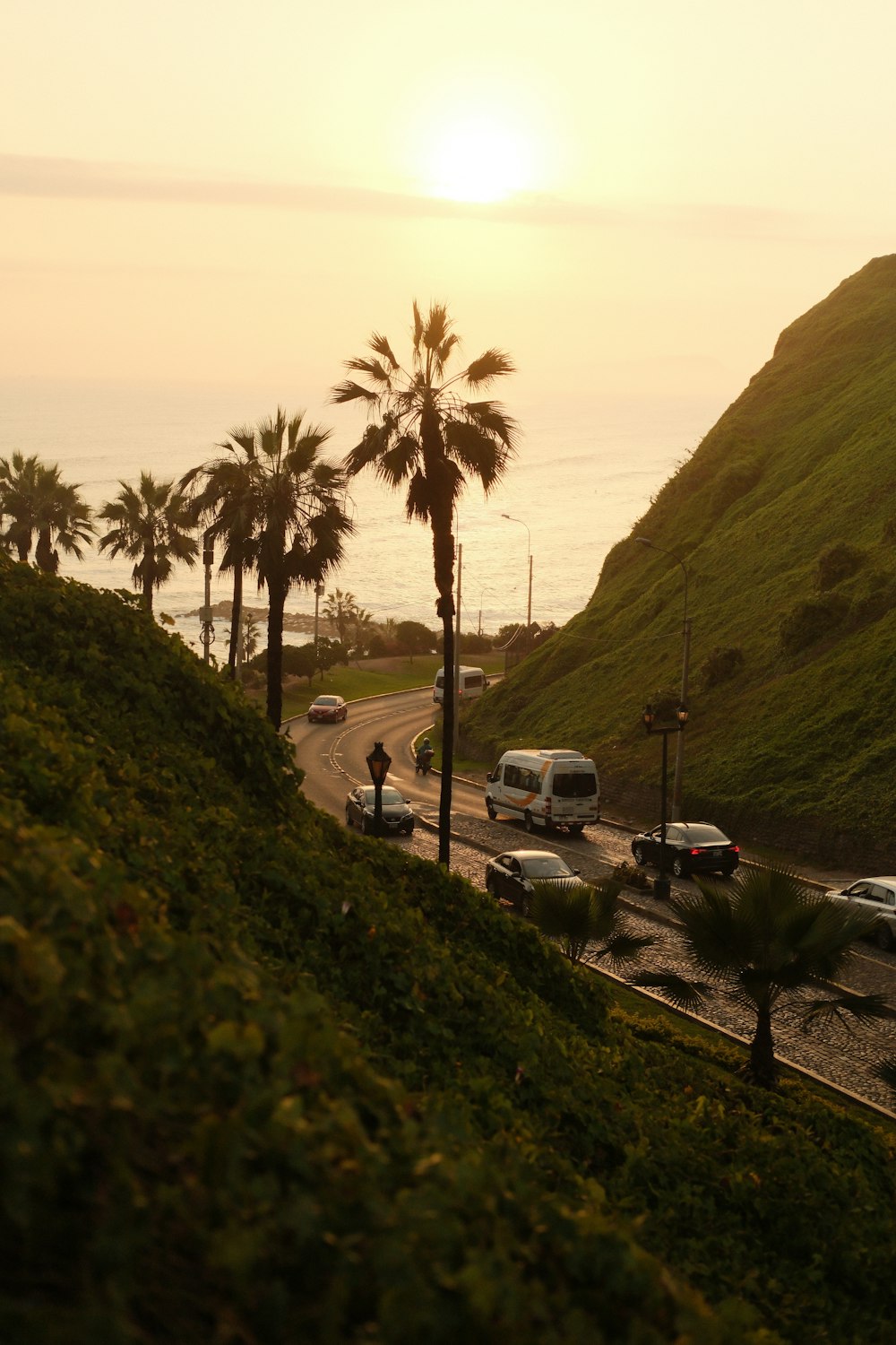 the sun is setting over the ocean and palm trees